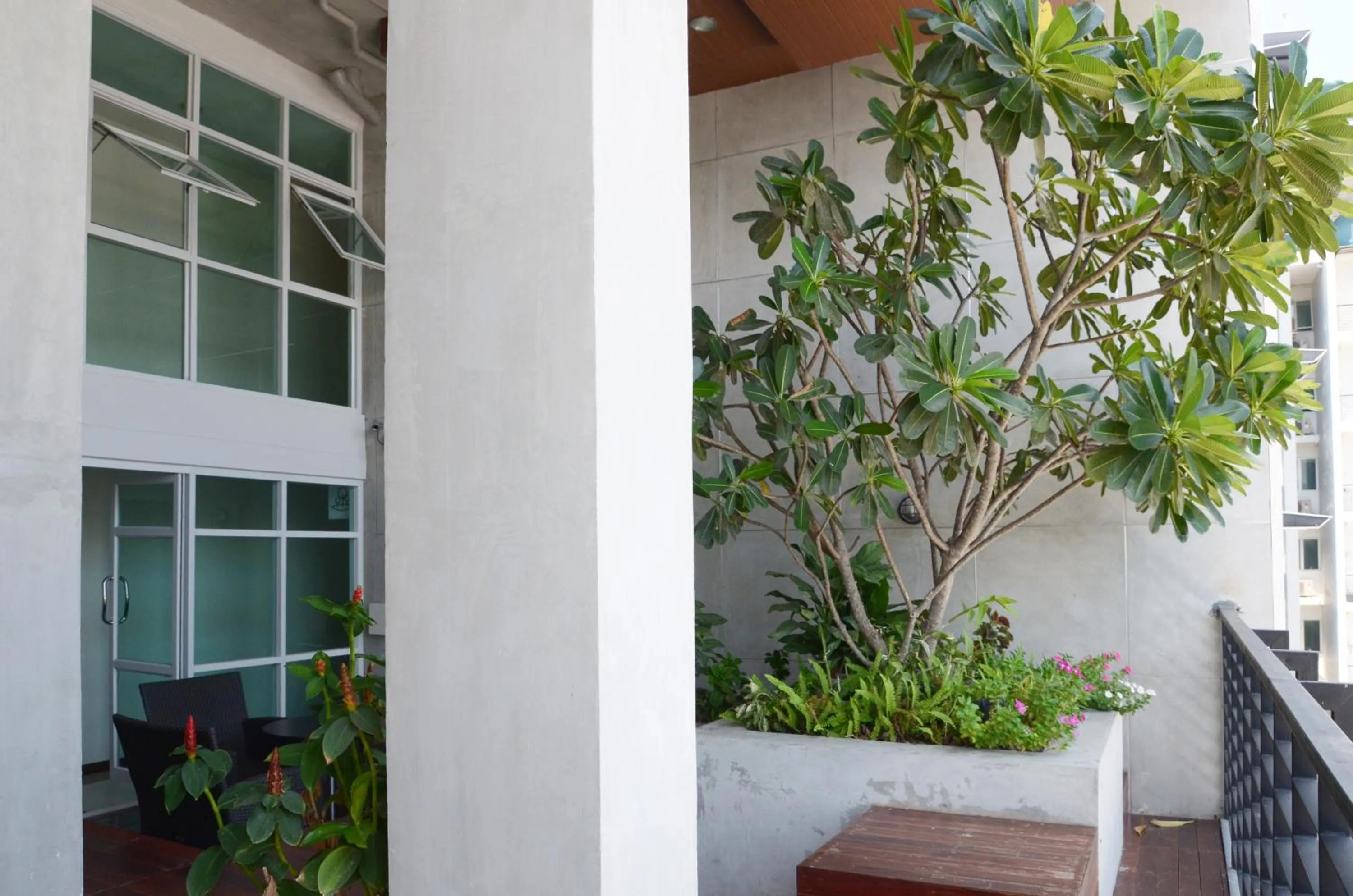 Garden in The September Salaya