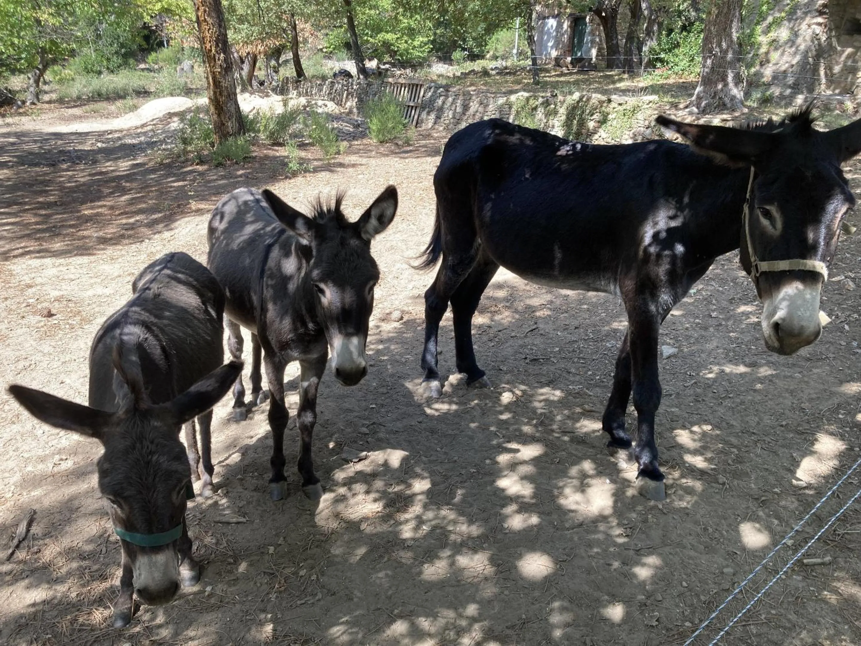Neighbourhood in Villa Fontane Provence