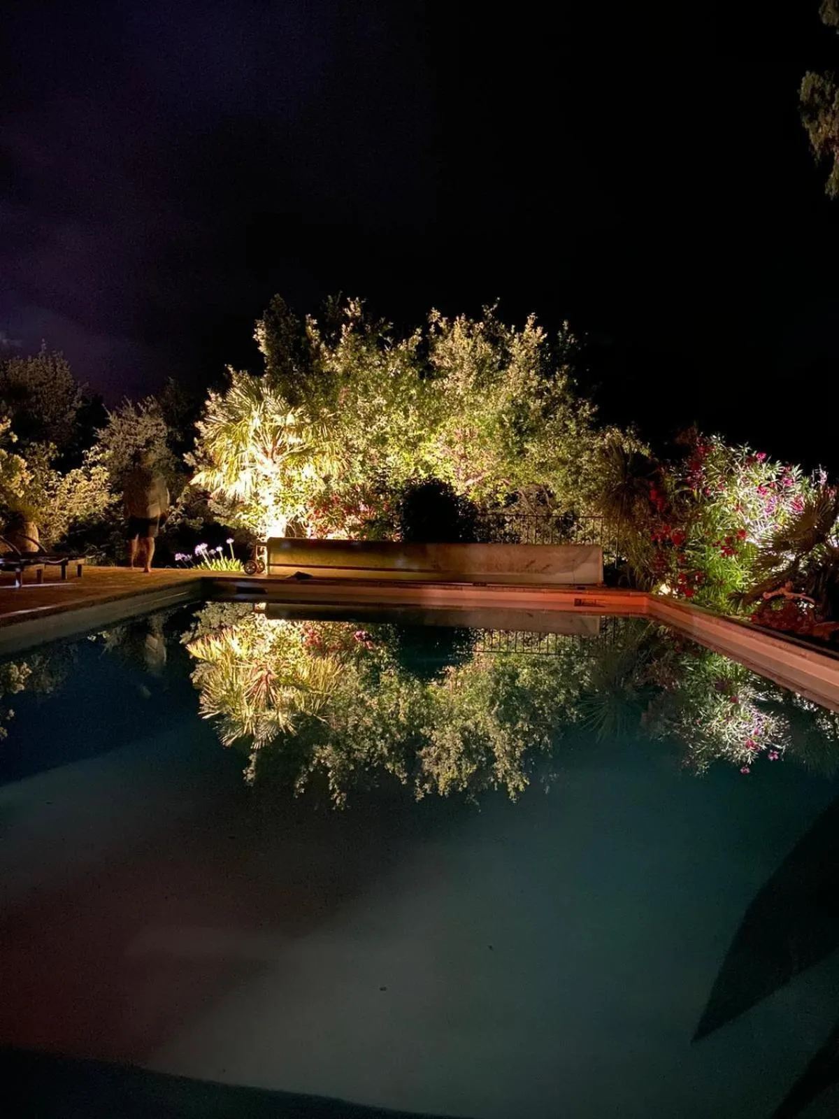 Pool view in Villa Fontane Provence