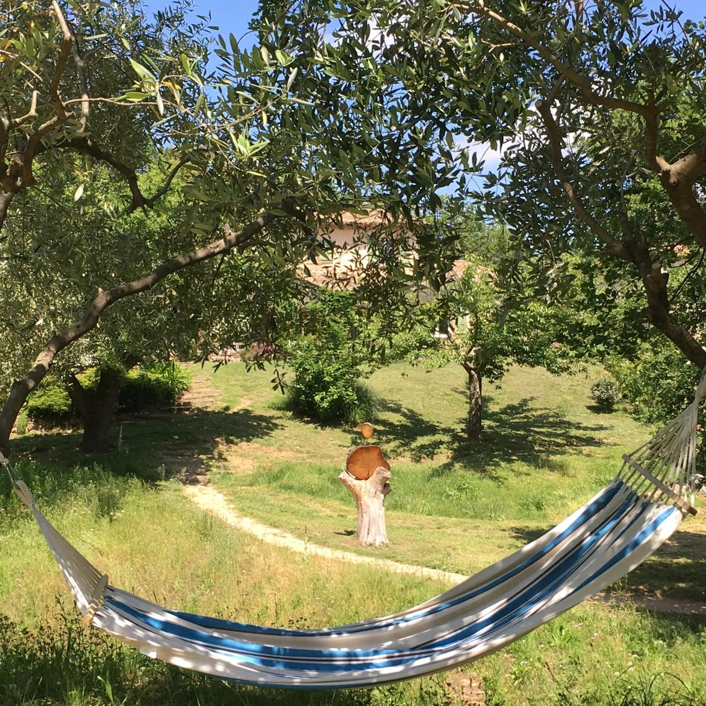 Garden in Villa Fontane Provence