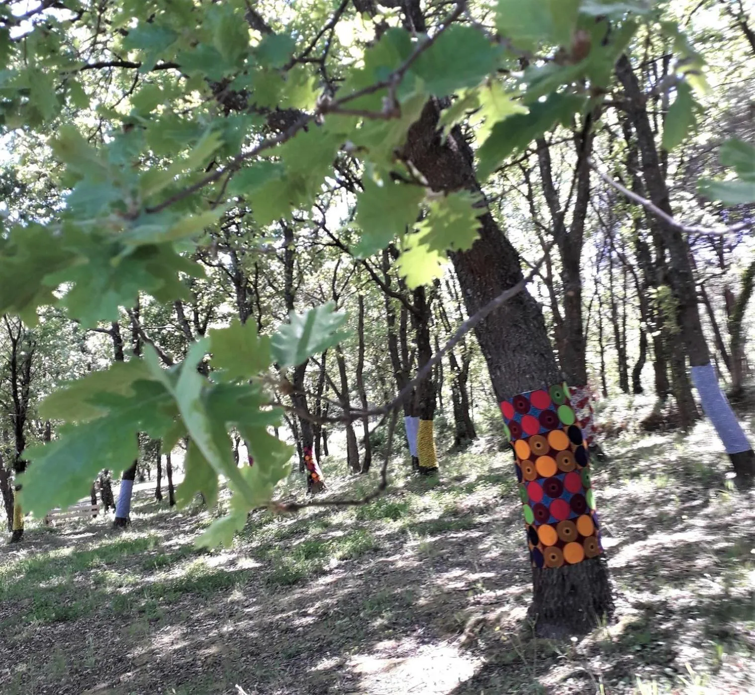 Activities in Villa Fontane Provence