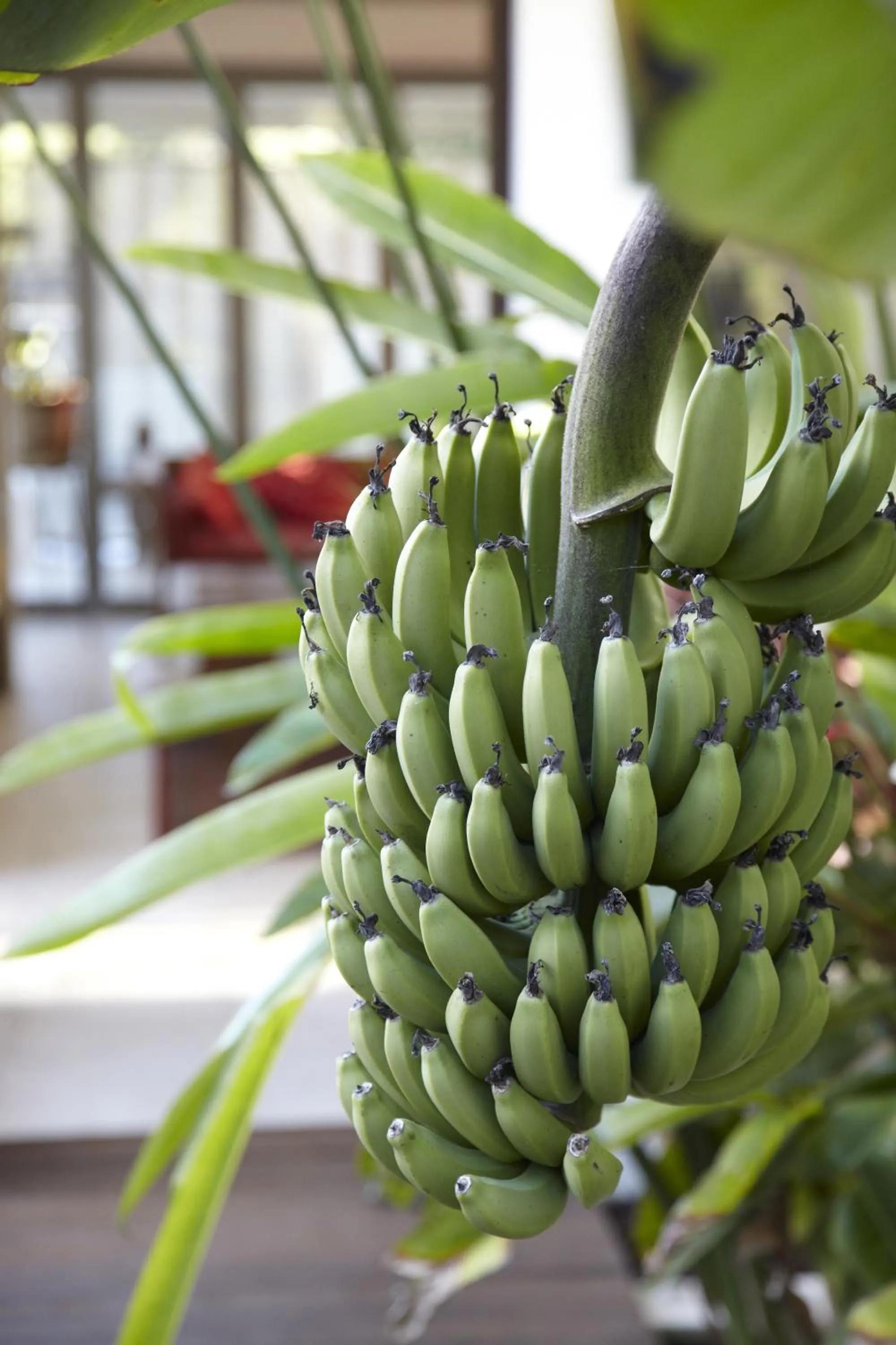 Other in Alaya Verde Bed & Breakfast