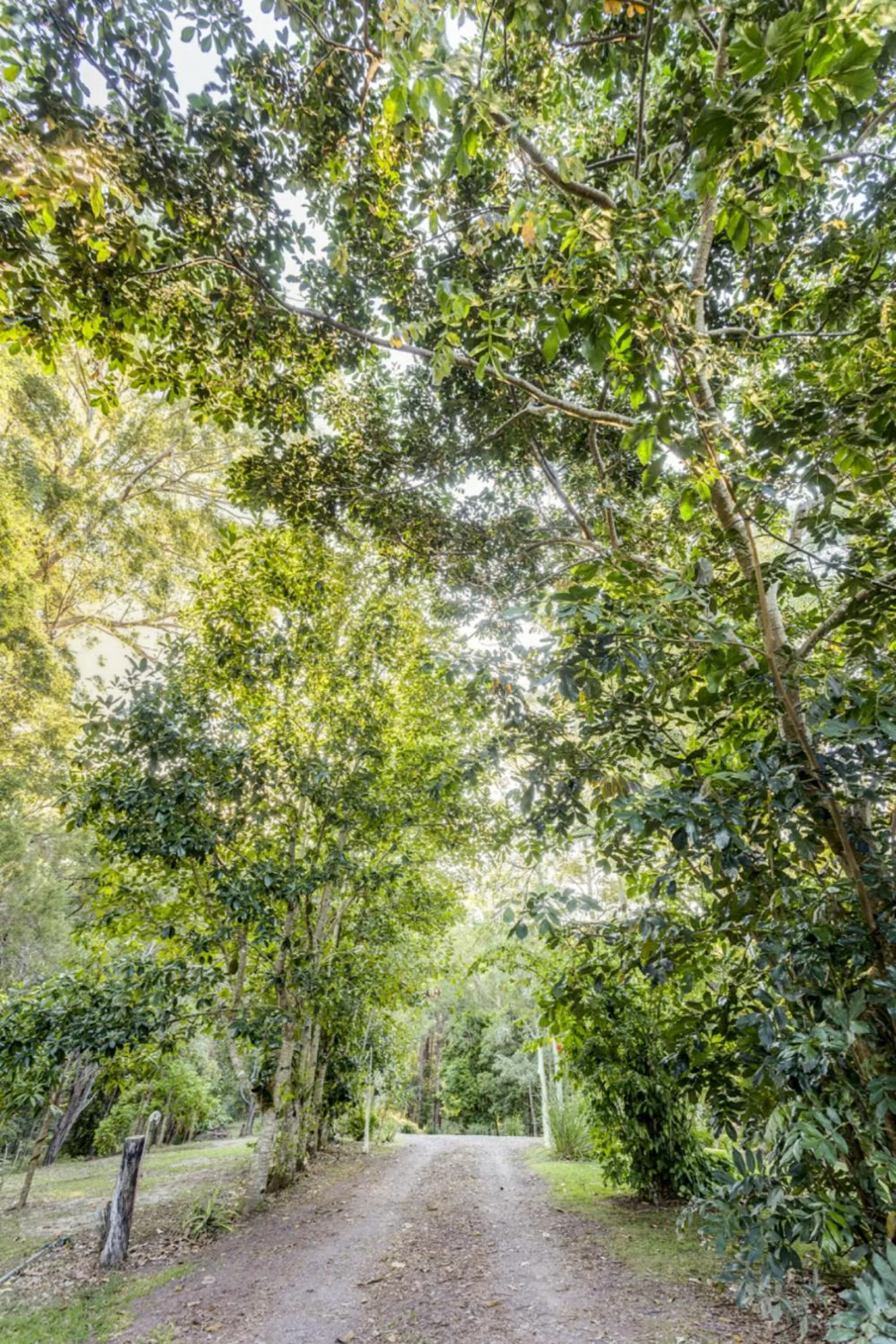 Garden in Alaya Verde Bed & Breakfast