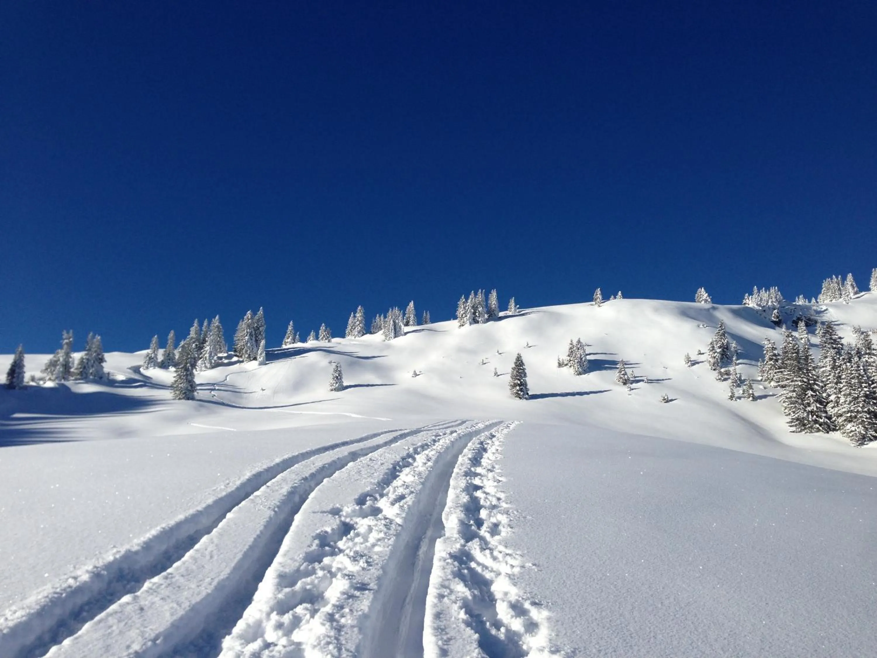 Skiing in Pension Kreuzeck - Dein Glücksplatz am Lech