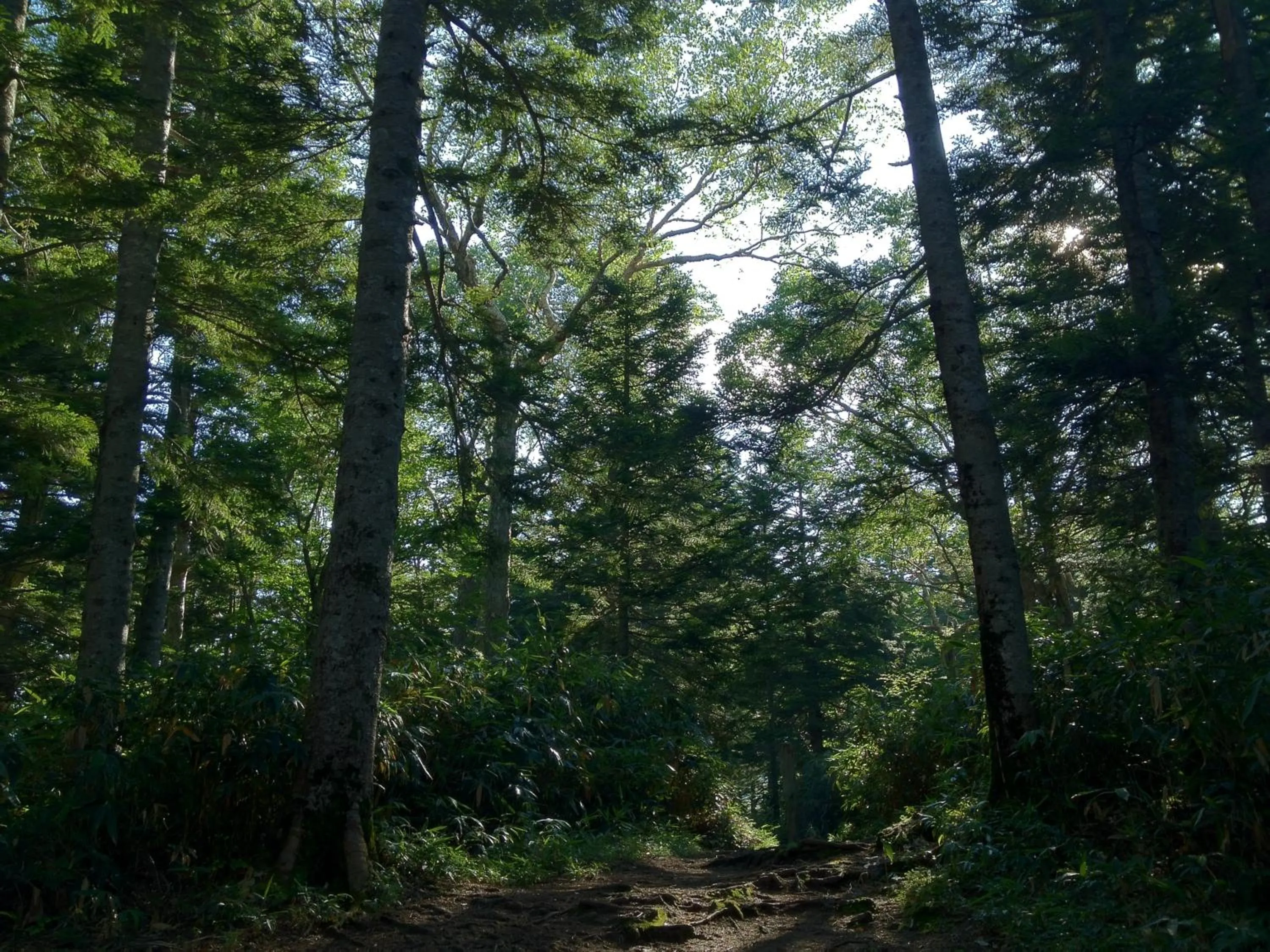 Area and facilities in Hotel Takimoto