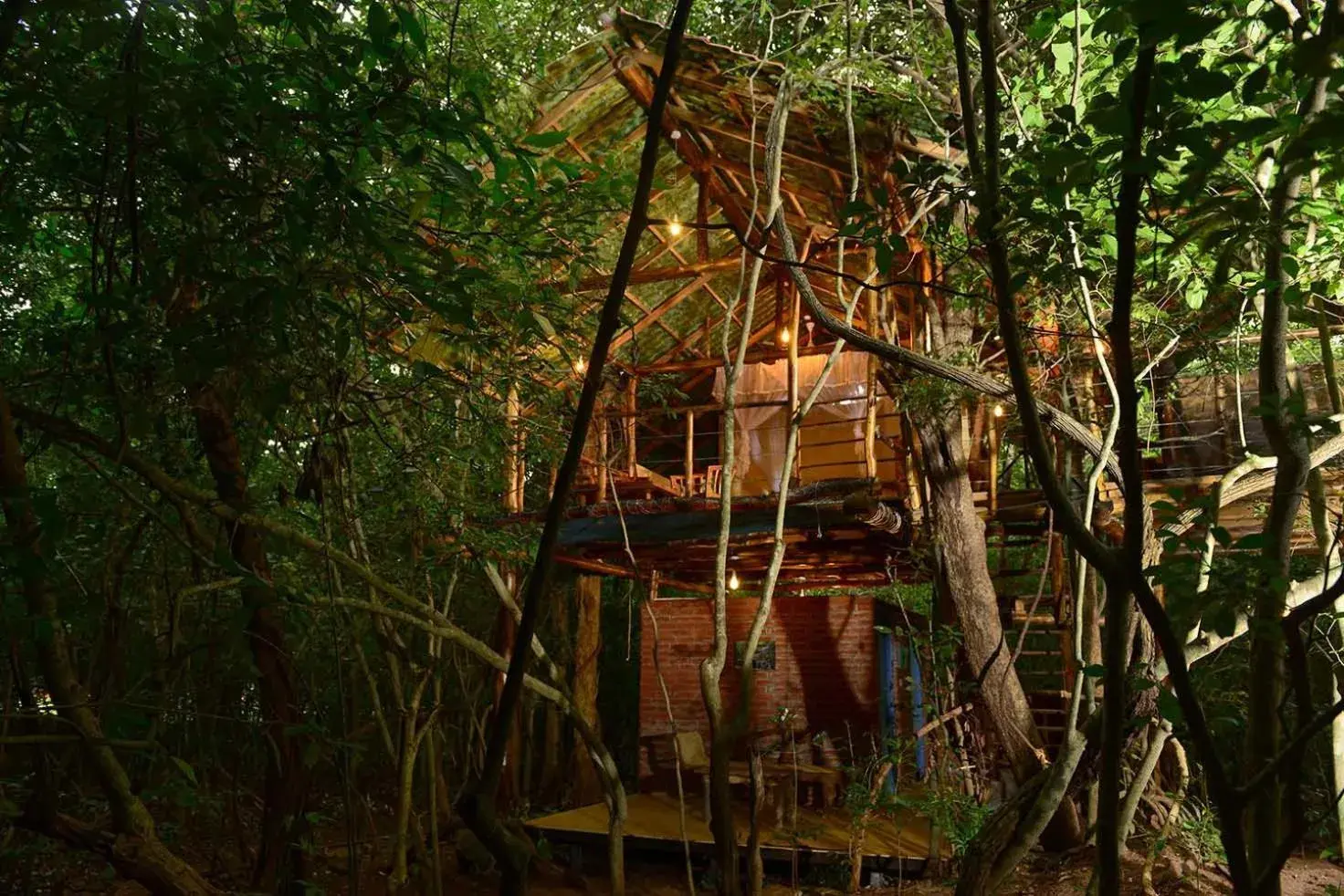 Family Tree House in Back of Beyond - Pidurangala Family Tree House in Back of Beyond - Pidurangala