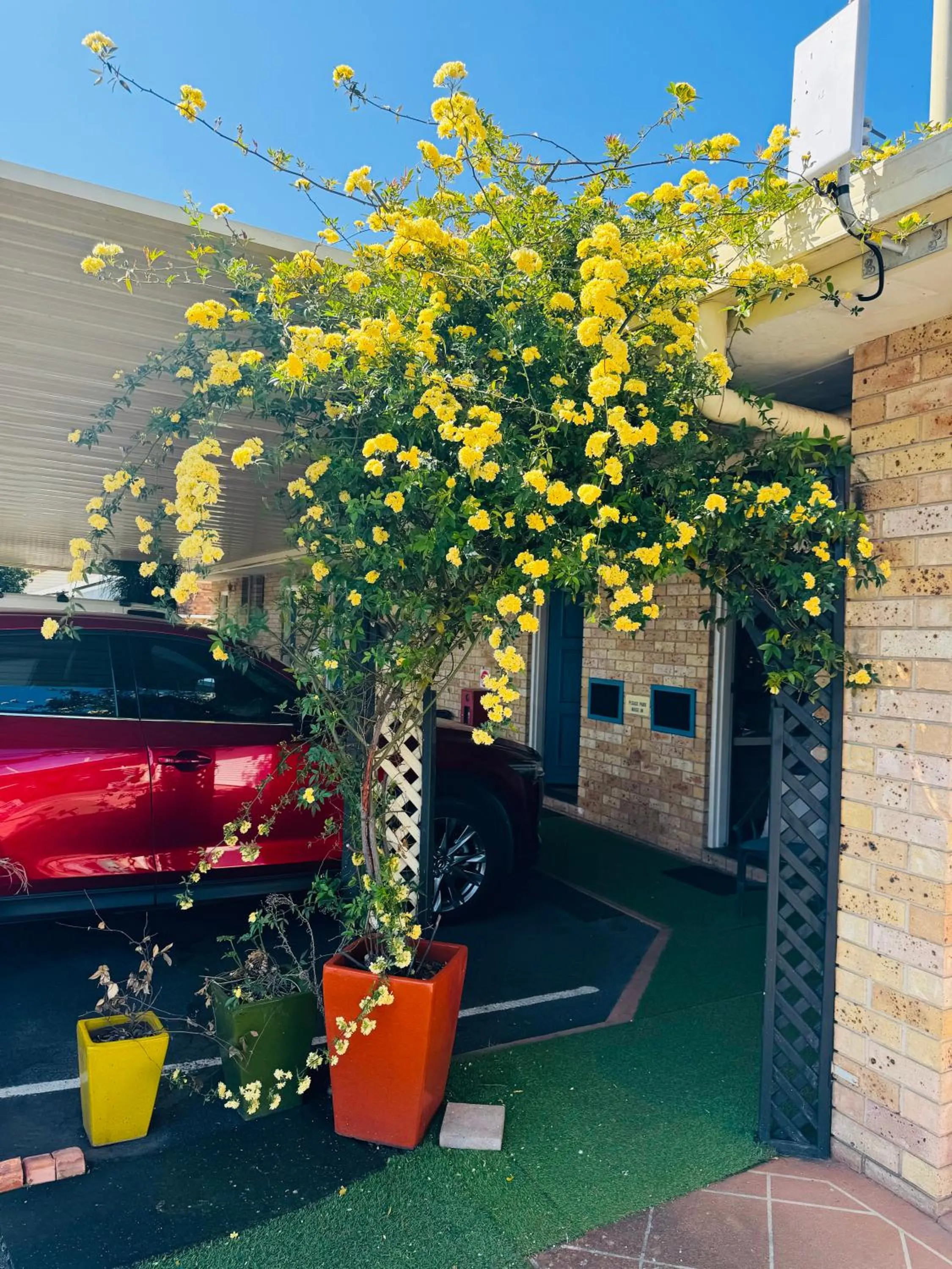 Spring in Town and Country Motor Inn