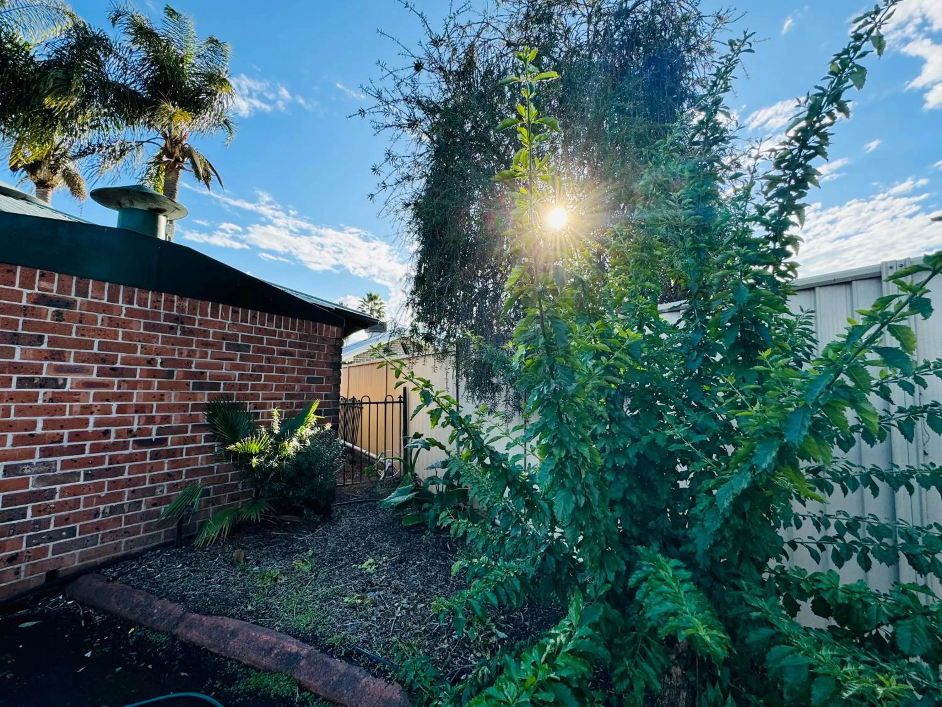 Spring in Town and Country Motor Inn