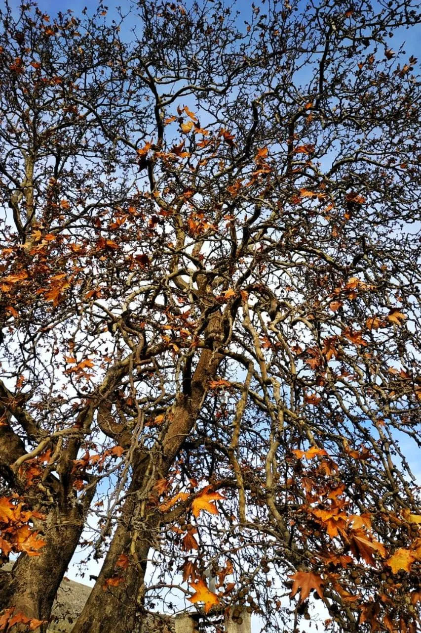 Off site in Orias Guesthouse & Farm