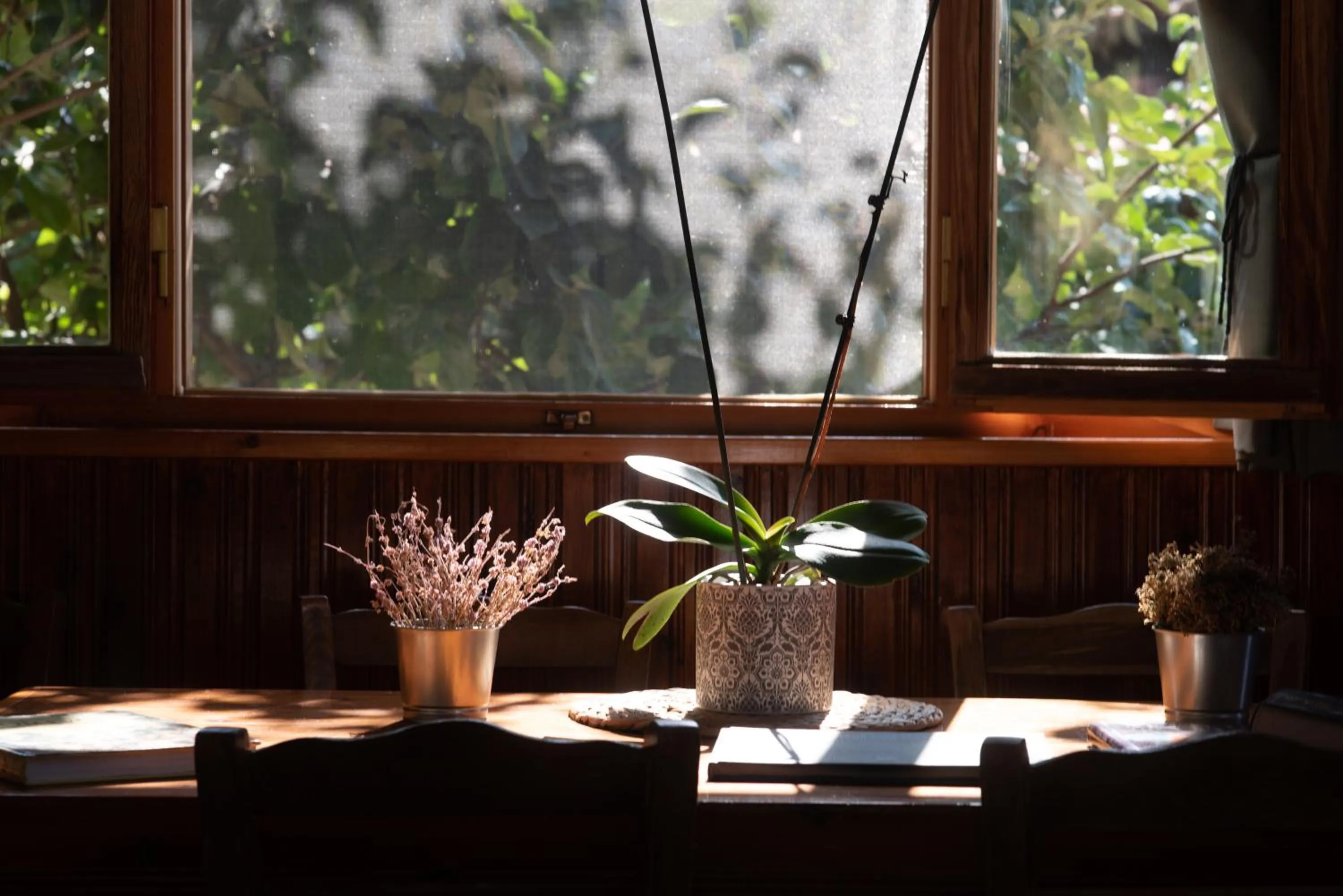 Restaurant/places to eat in Orias Guesthouse & Farm