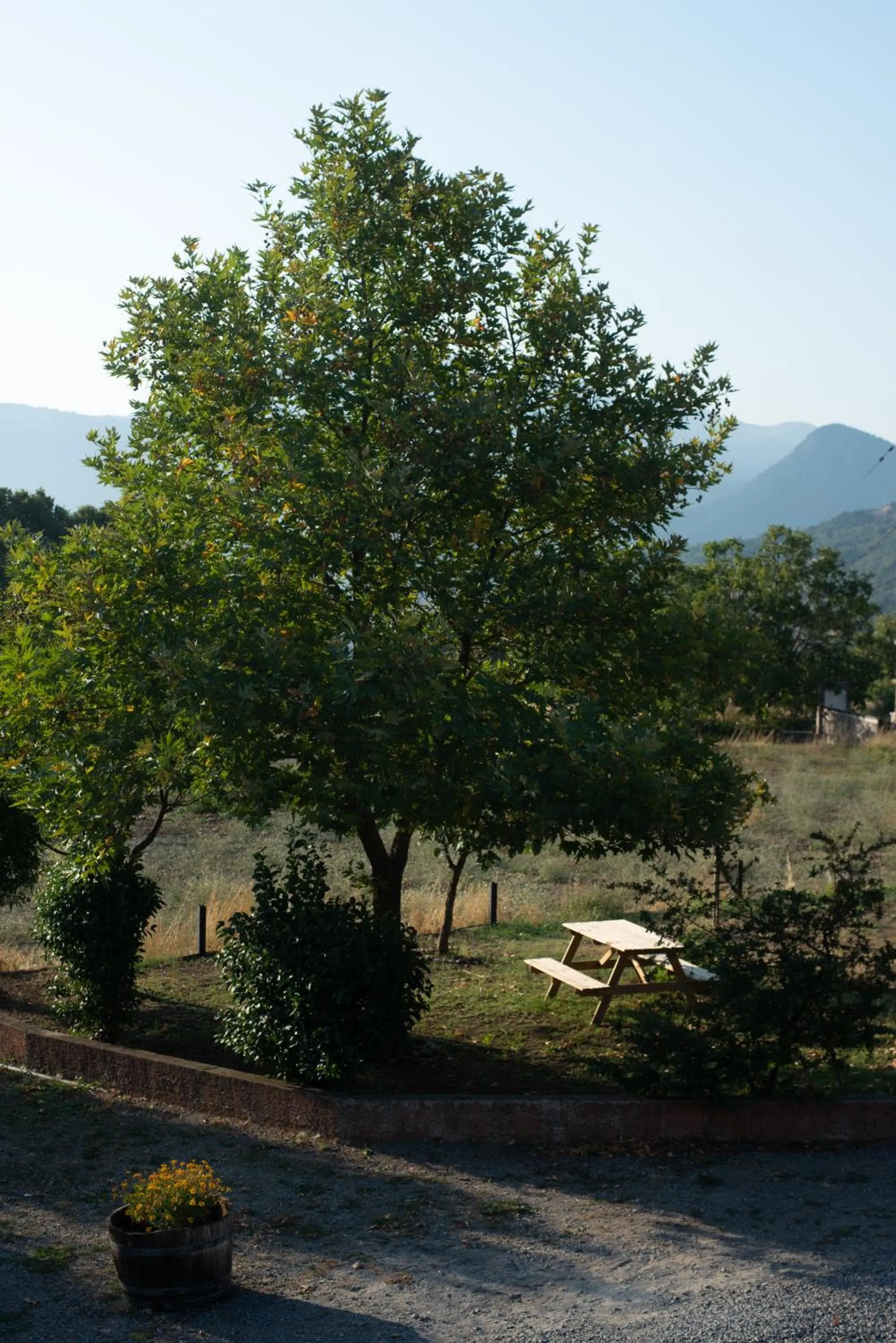 Natural landscape in Orias Guesthouse & Farm