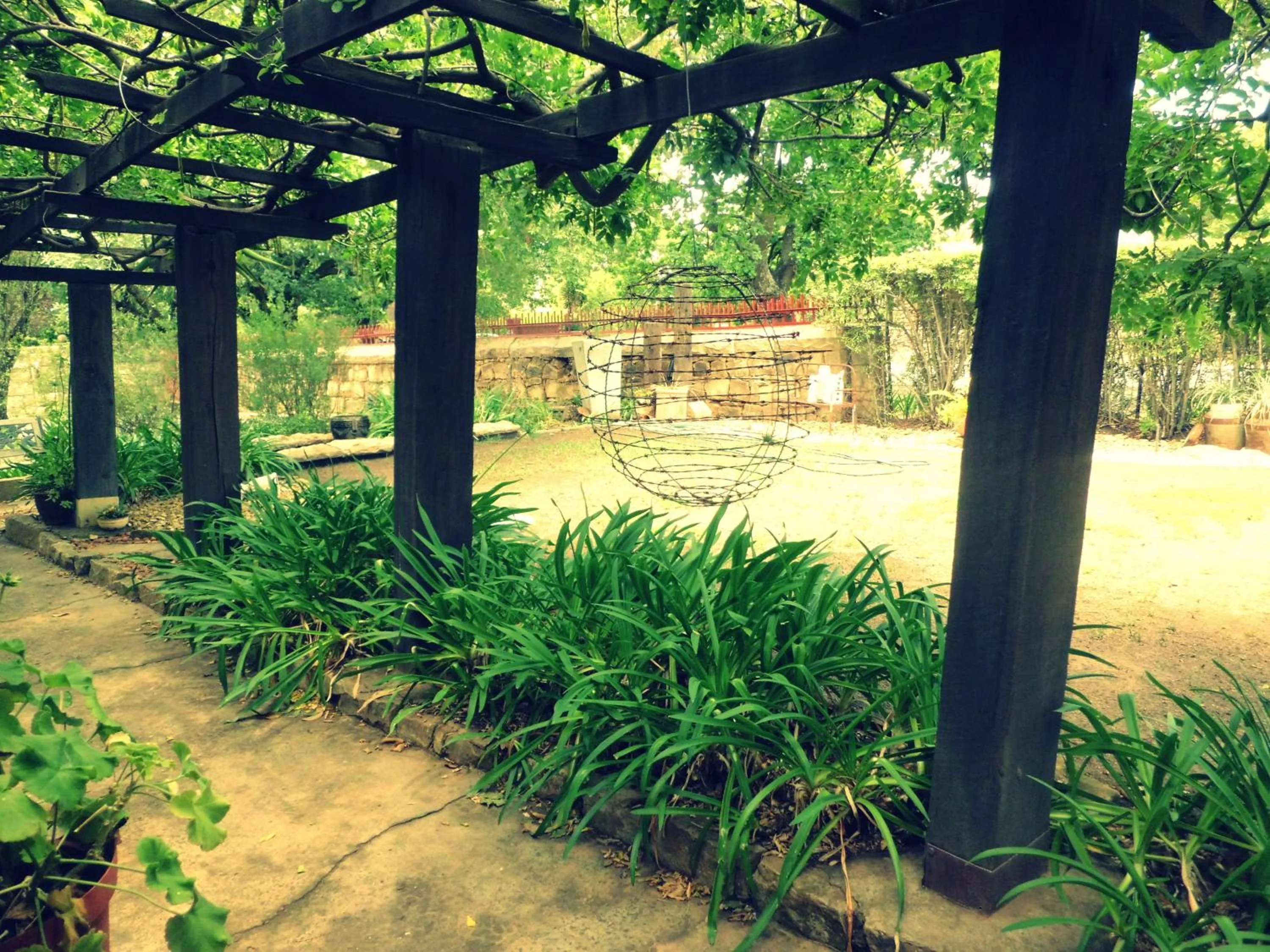 Garden view in Top House Bed and Breakfast