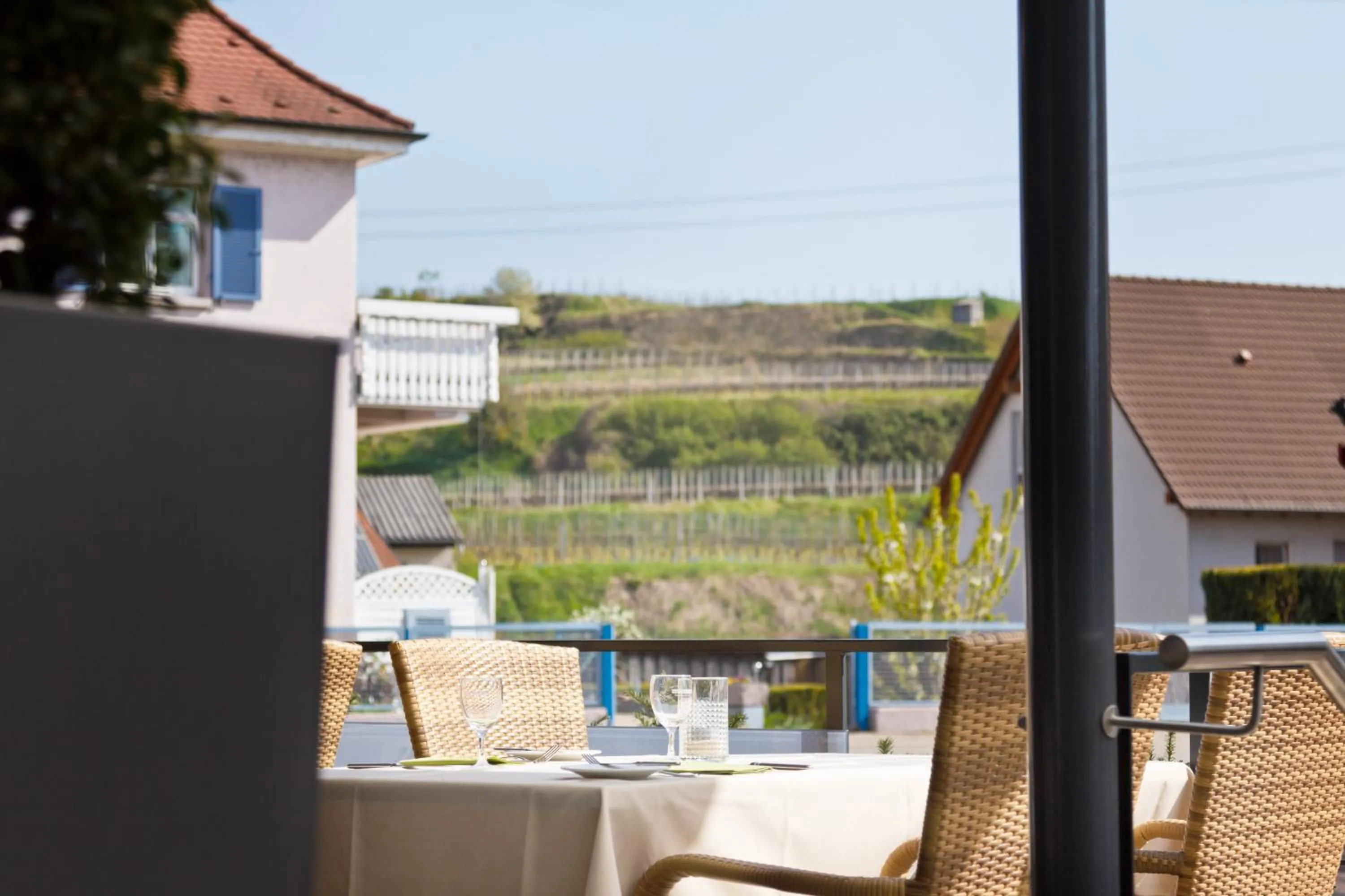 Natural landscape in Hotel Winzerstube