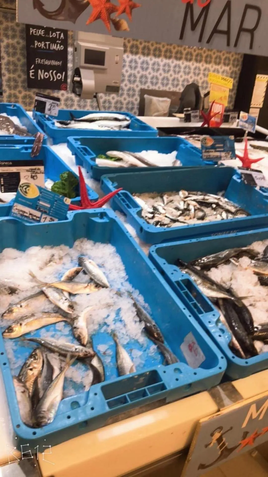 Supermarket/grocery shop in luxury lisbon apartment T2