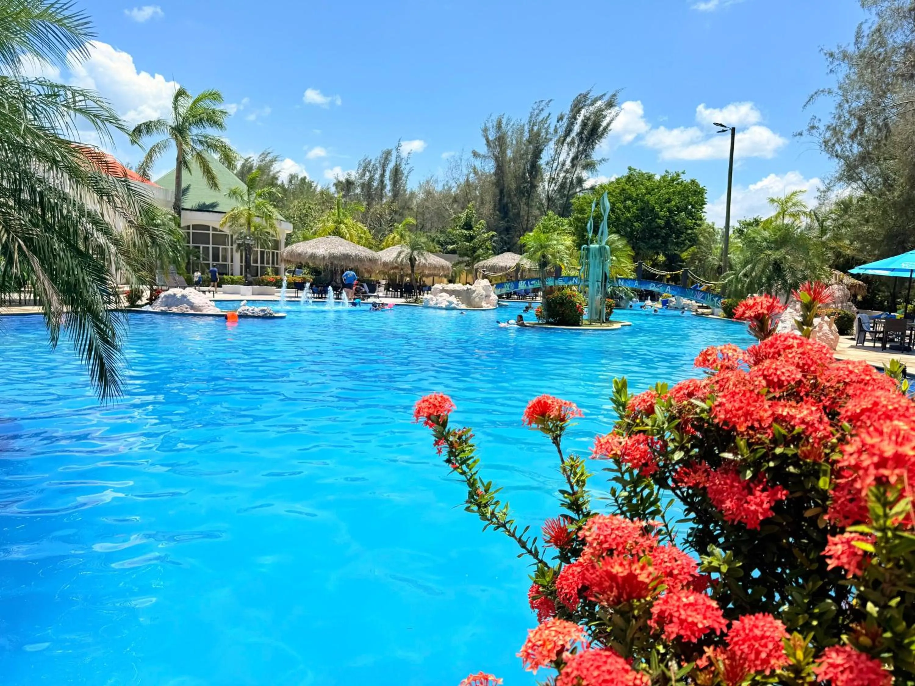 Garden in La Ensenada Beach Resort