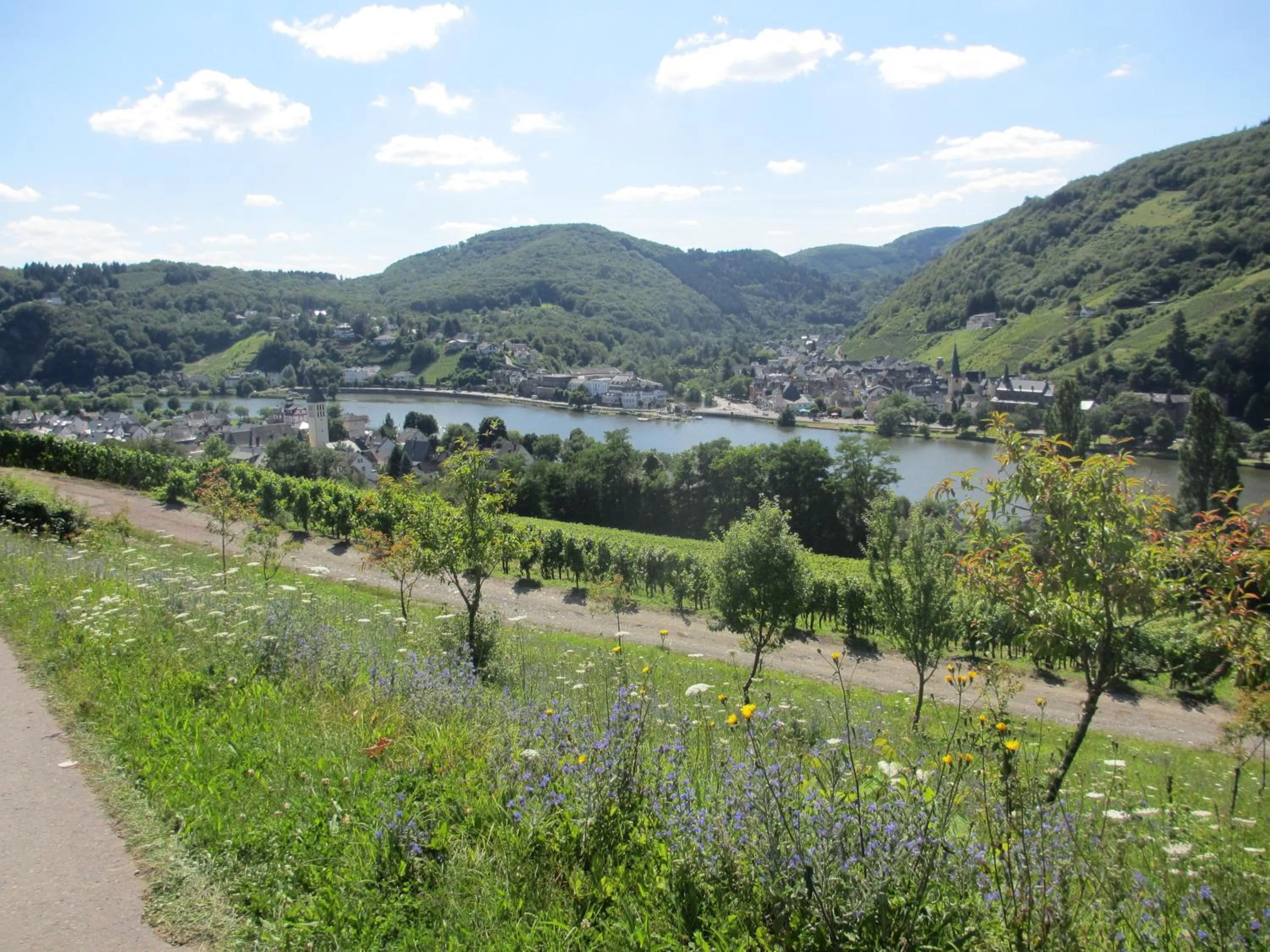 Area and facilities in Feriendomizil am Lindenplatz