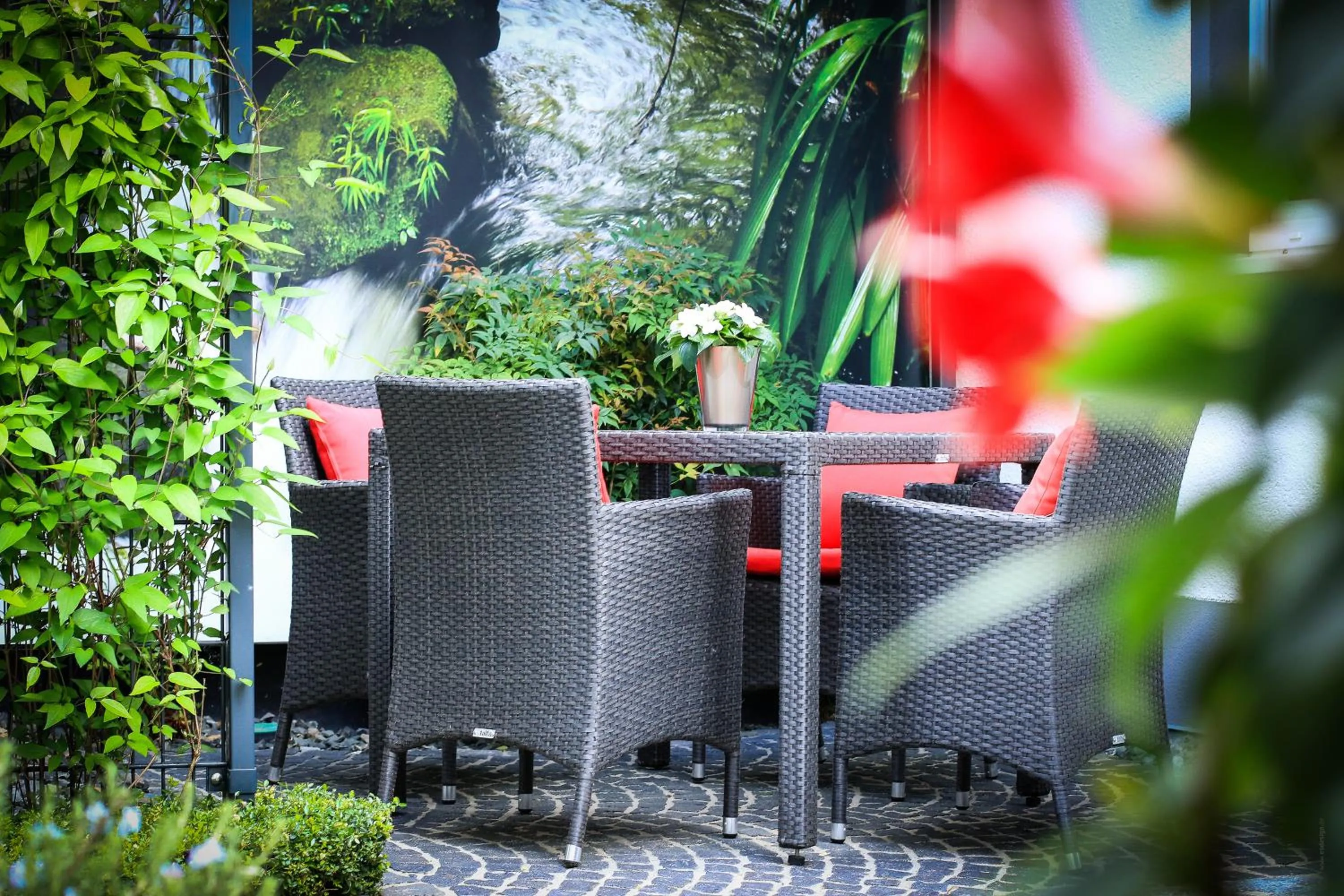 Patio in Feriendomizil am Lindenplatz