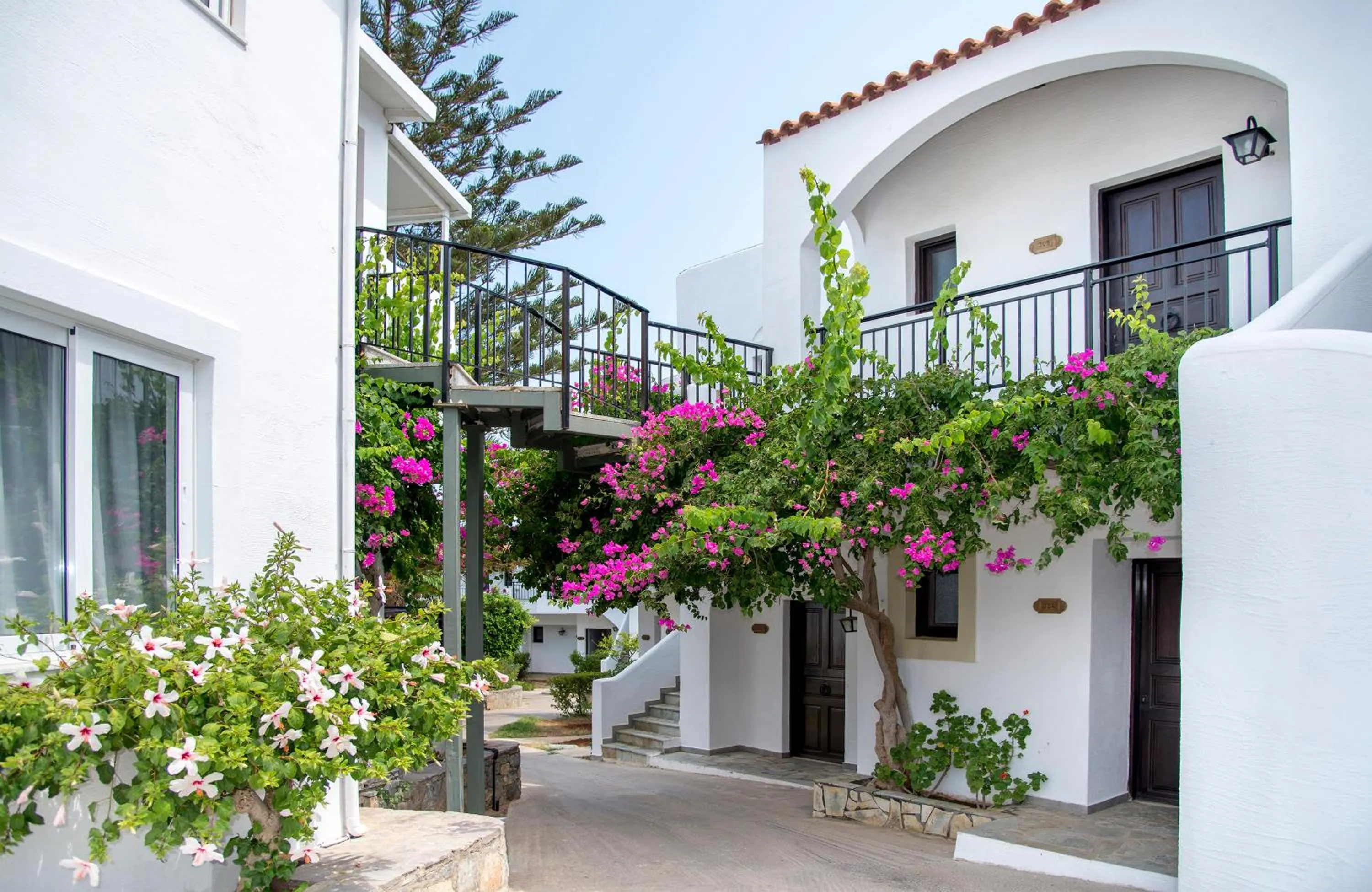 Property building in Horizon Beach