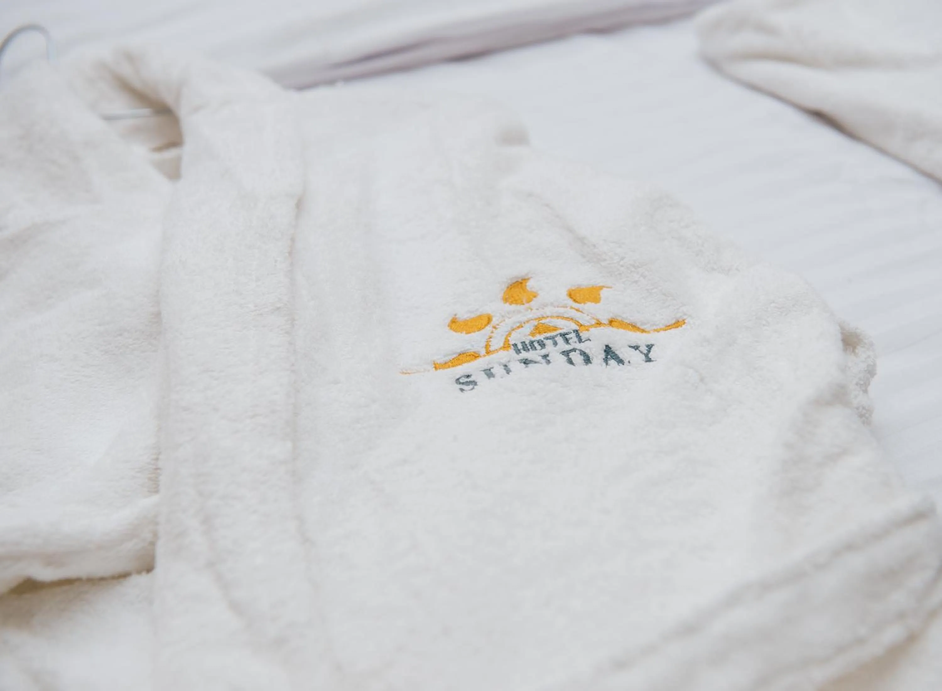 Property logo or sign in Sunday Hotel Baku