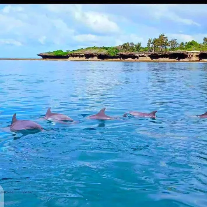 Activities in Tahira Villa