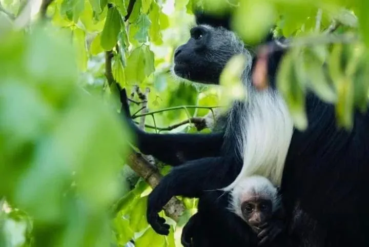 Activities in Tahira Villa