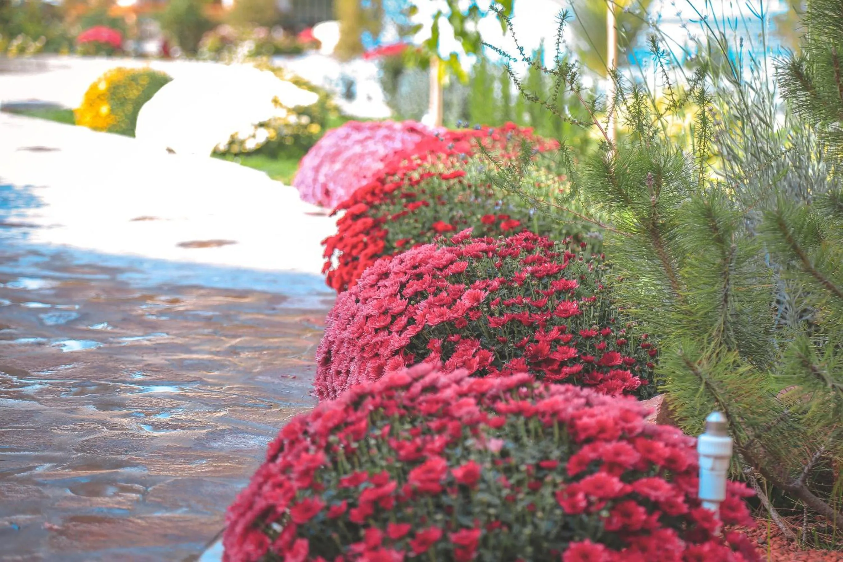 Garden in Asmald Palace Hotel