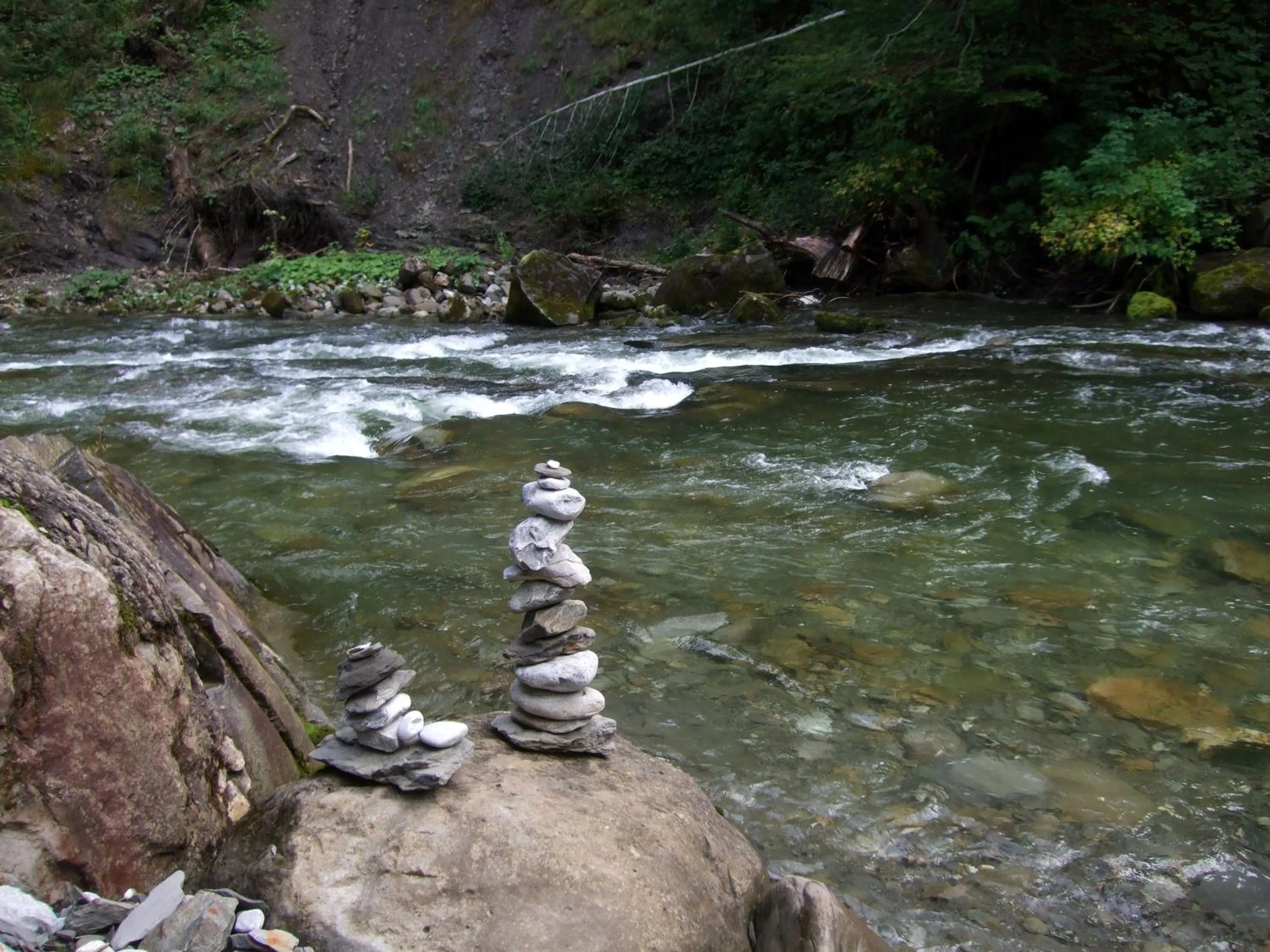 Natural landscape in Hotel Alpensonne