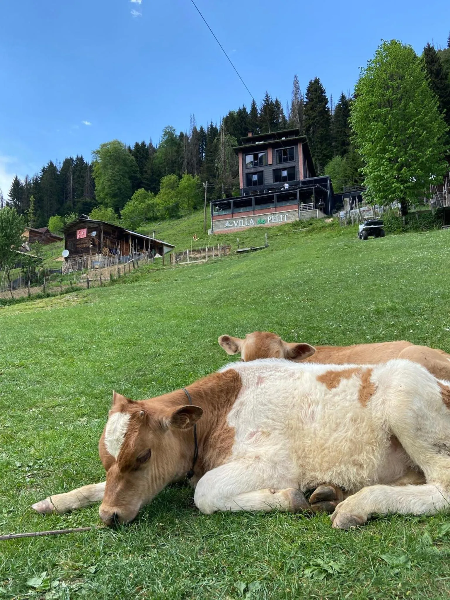 Ayder Villa de Pelit Hotel