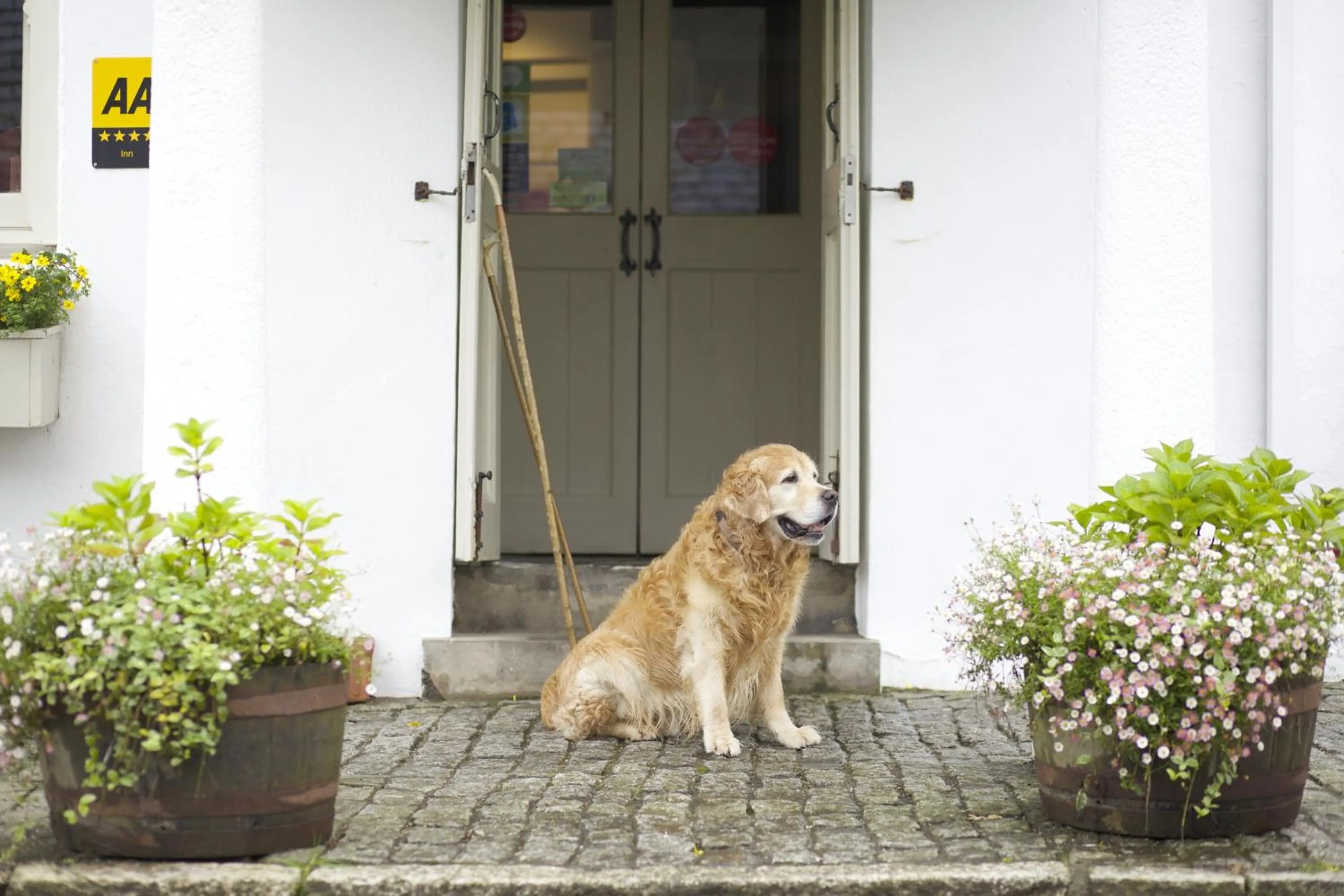 Facade/entrance in The Plume of Feathers