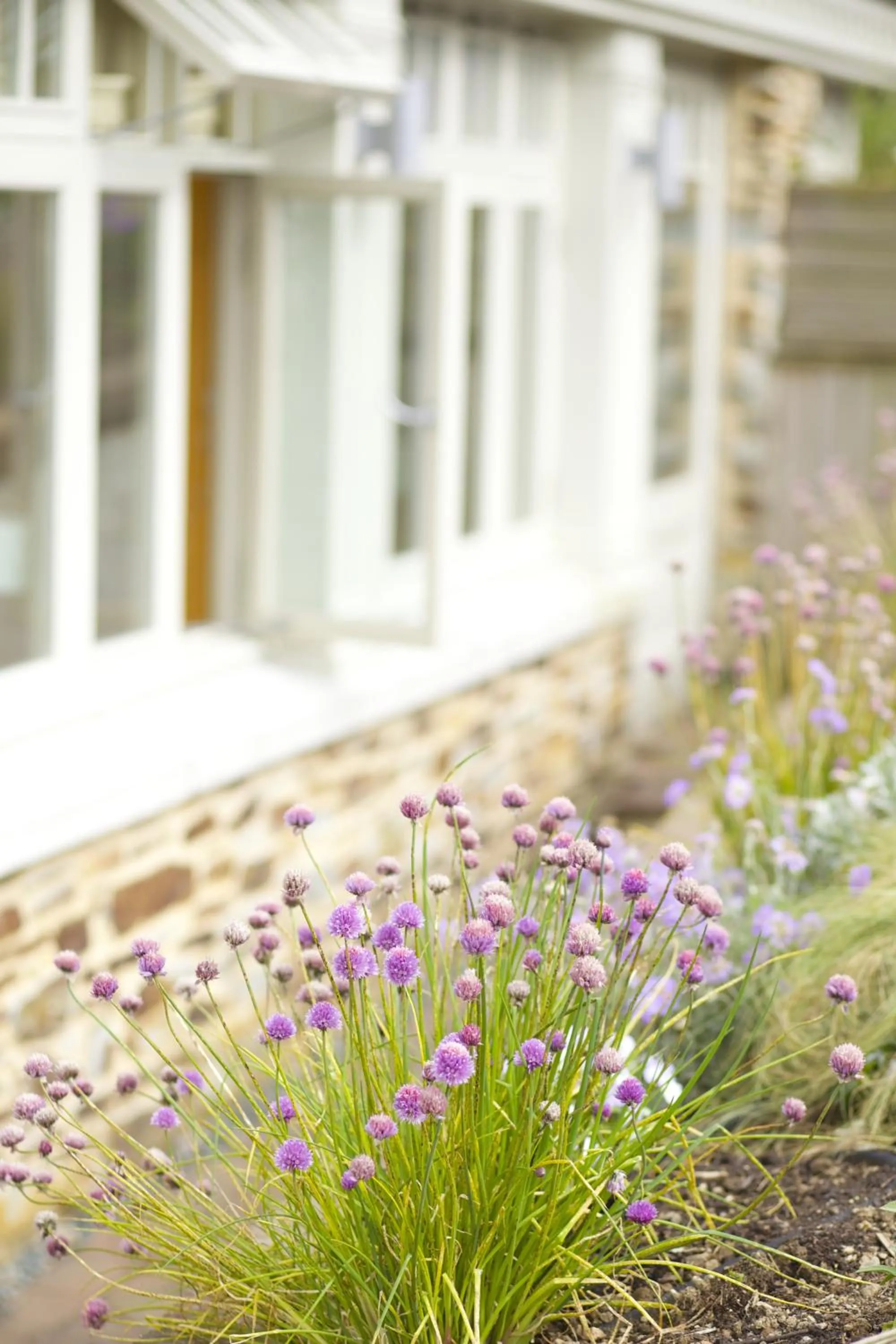 Facade/entrance in The Plume of Feathers