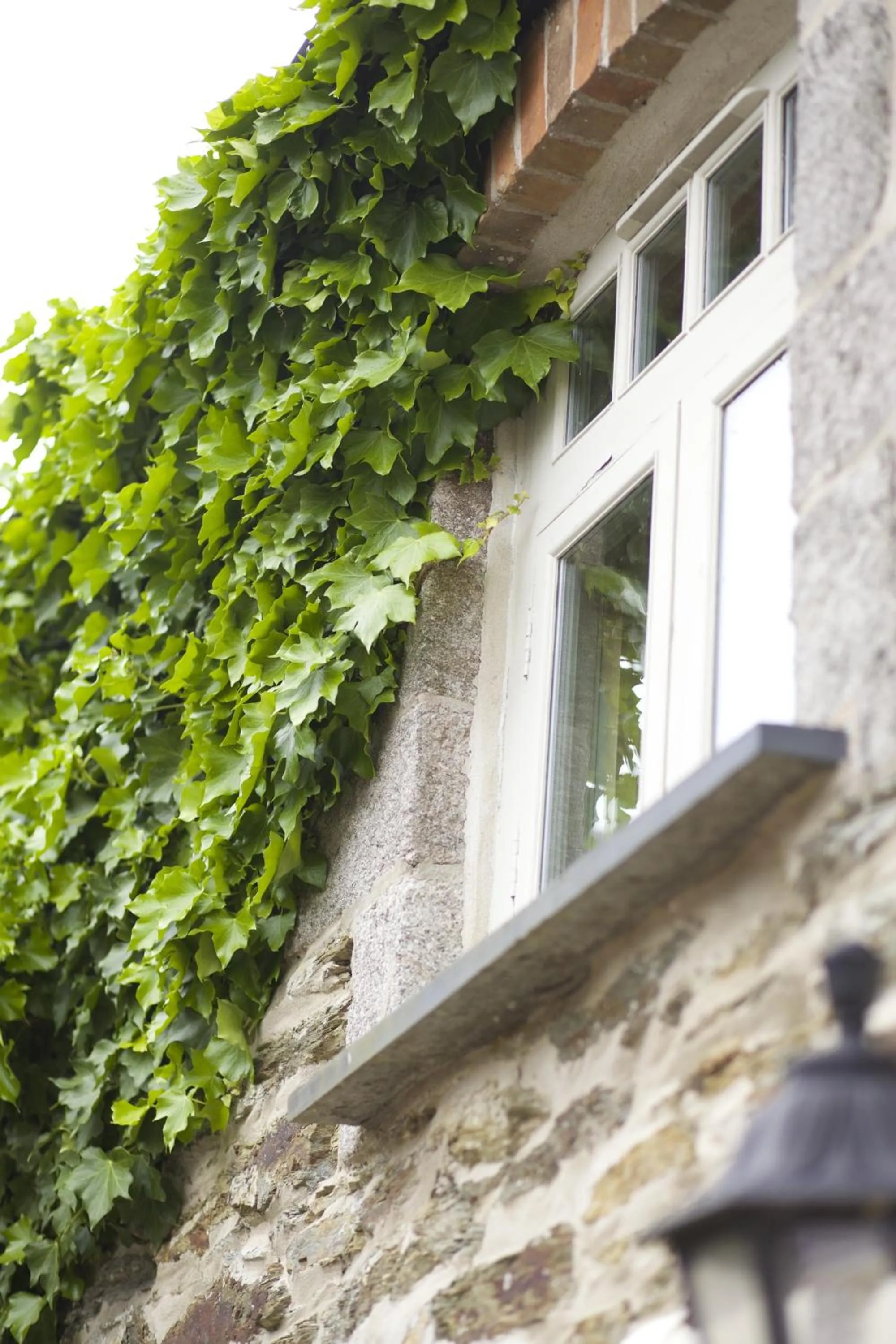 Decorative detail in The Plume of Feathers