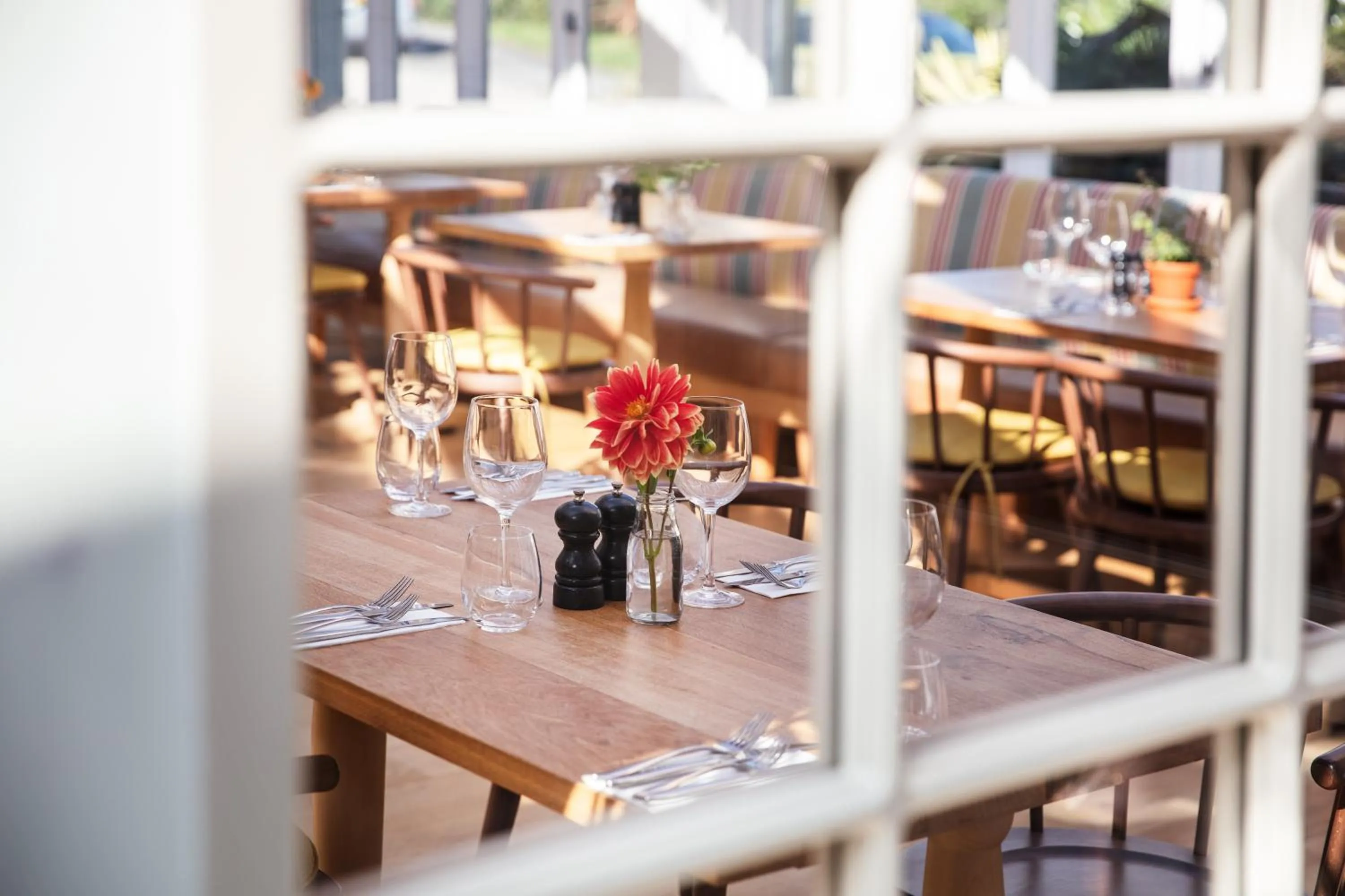 Restaurant/places to eat in The Plume of Feathers