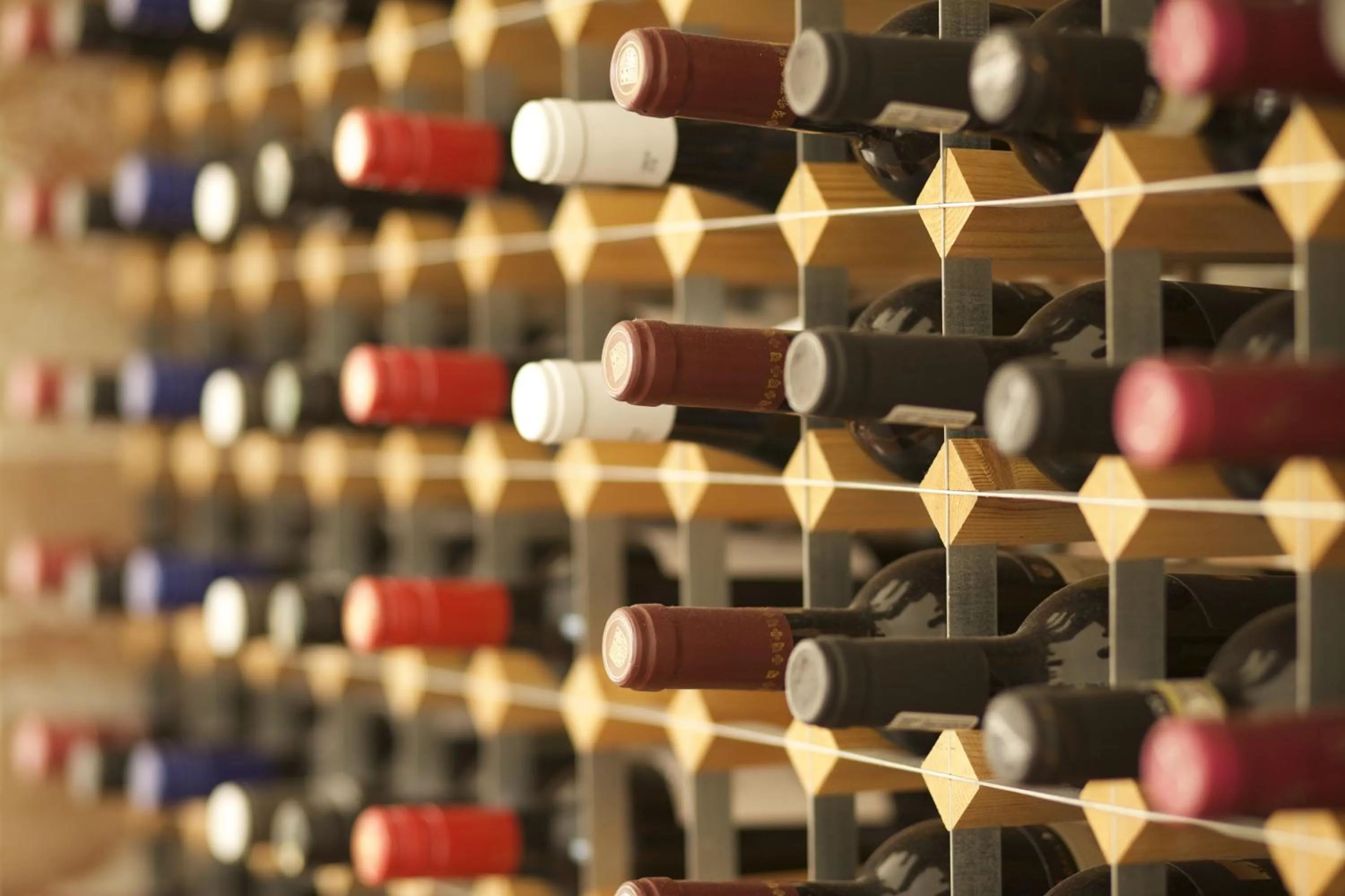 Lounge or bar in The Plume of Feathers