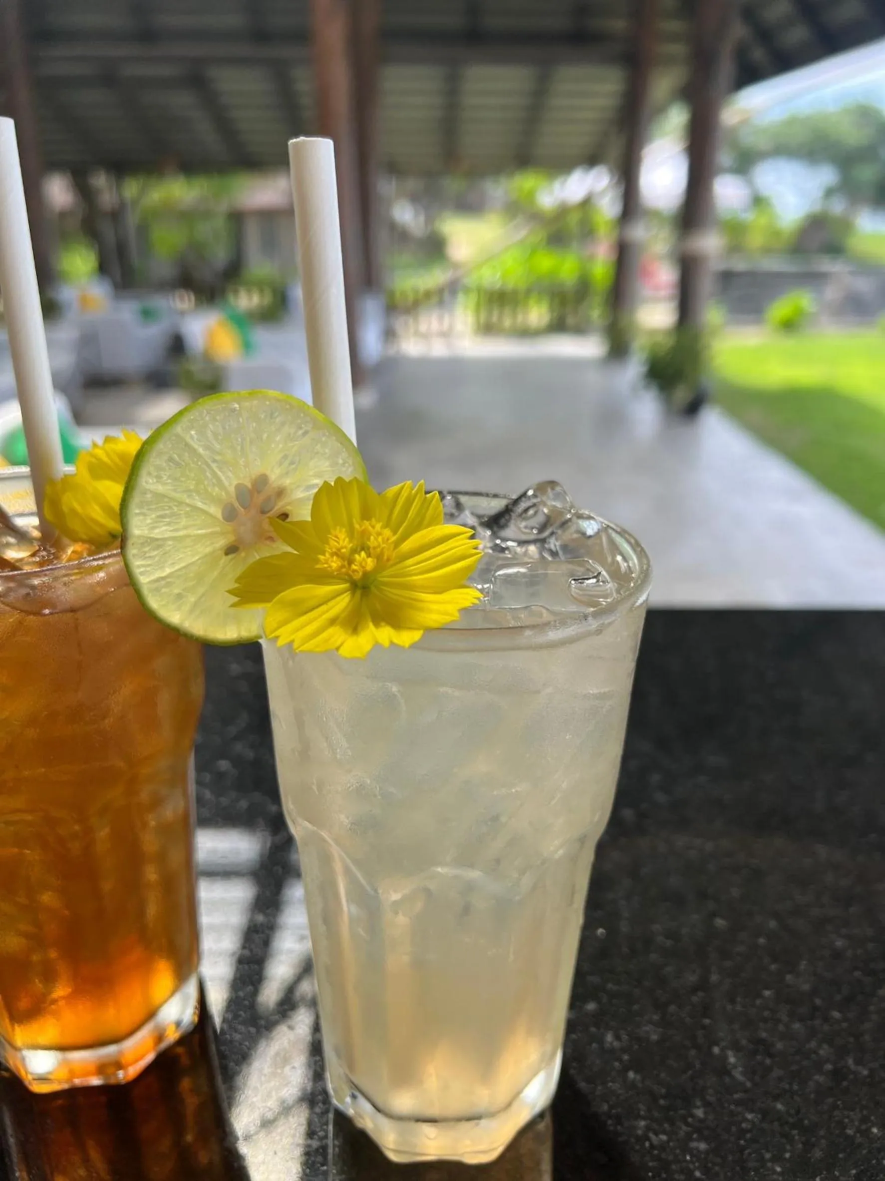 Food and drinks in SriLanta Resort and Spa