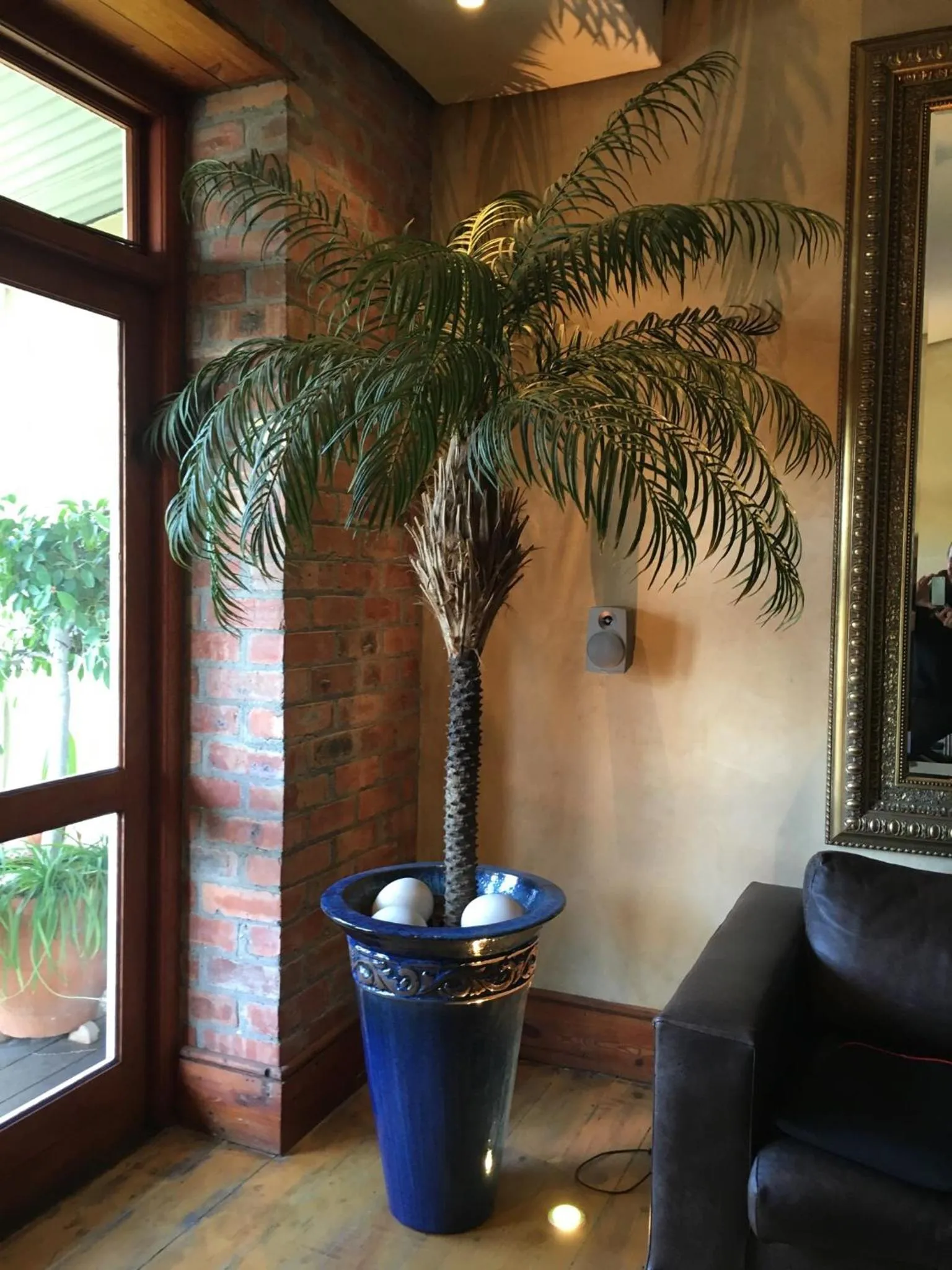 Day in Gordons Guesthouse