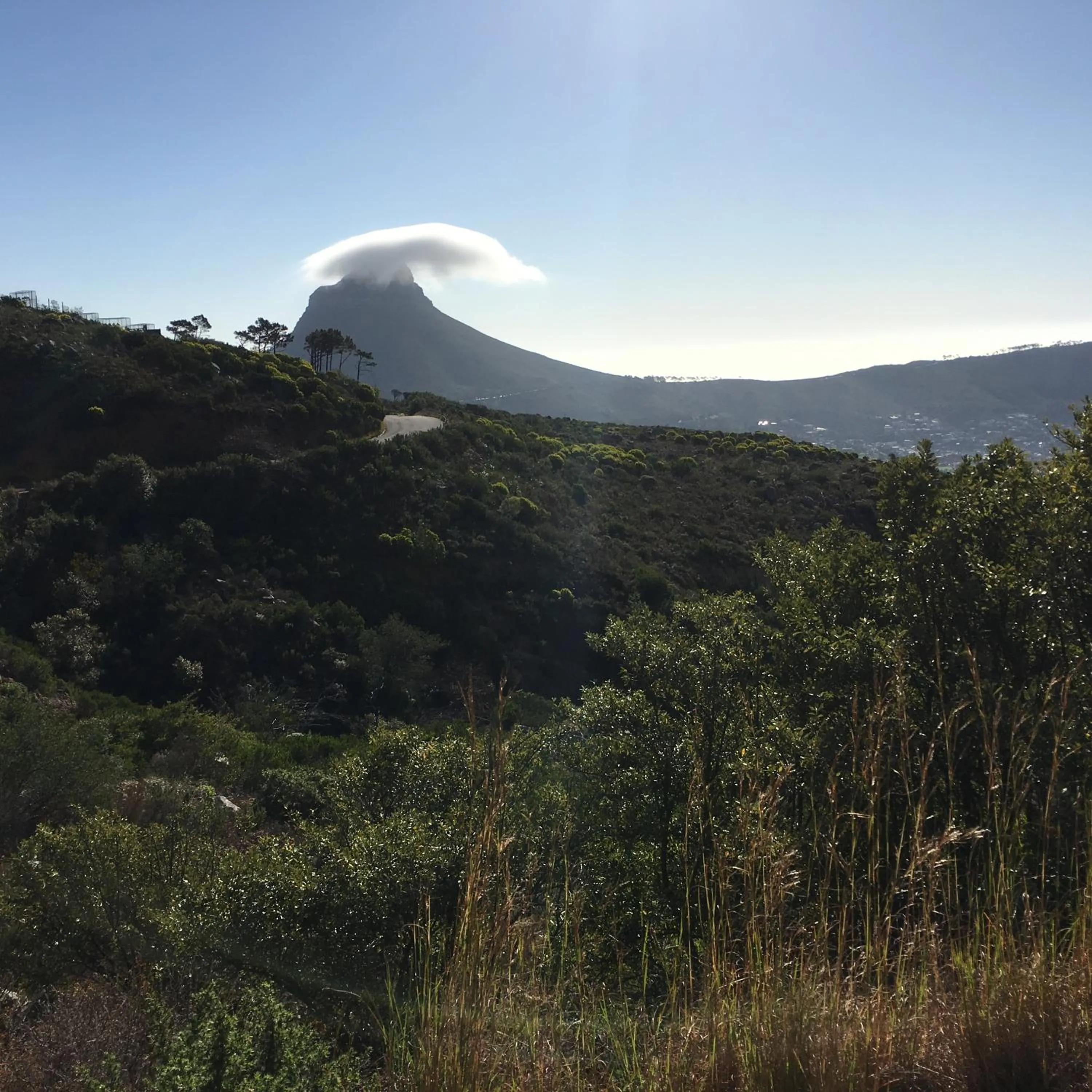 Day in Gordons Guesthouse