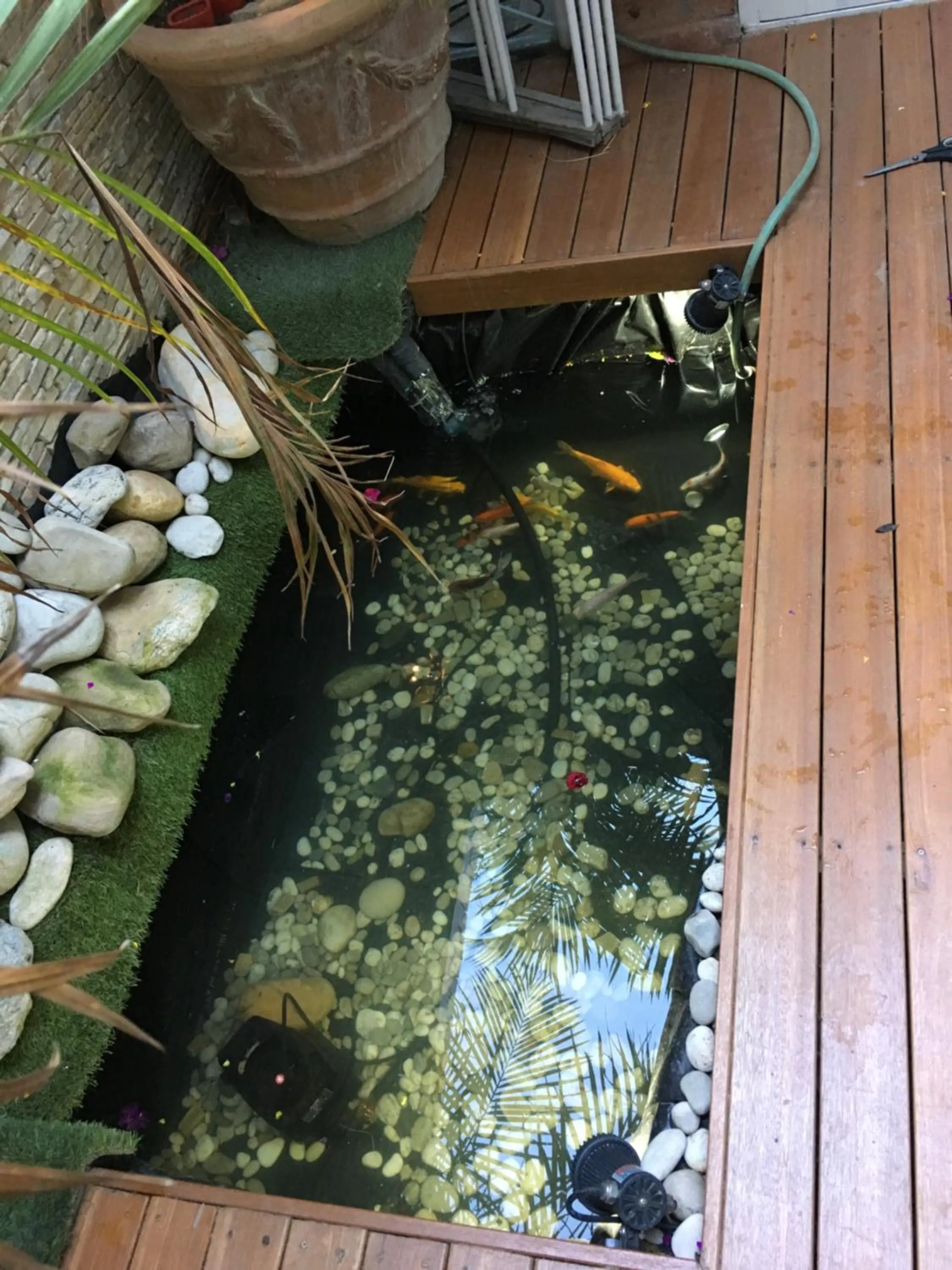 Garden in Gordons Guesthouse