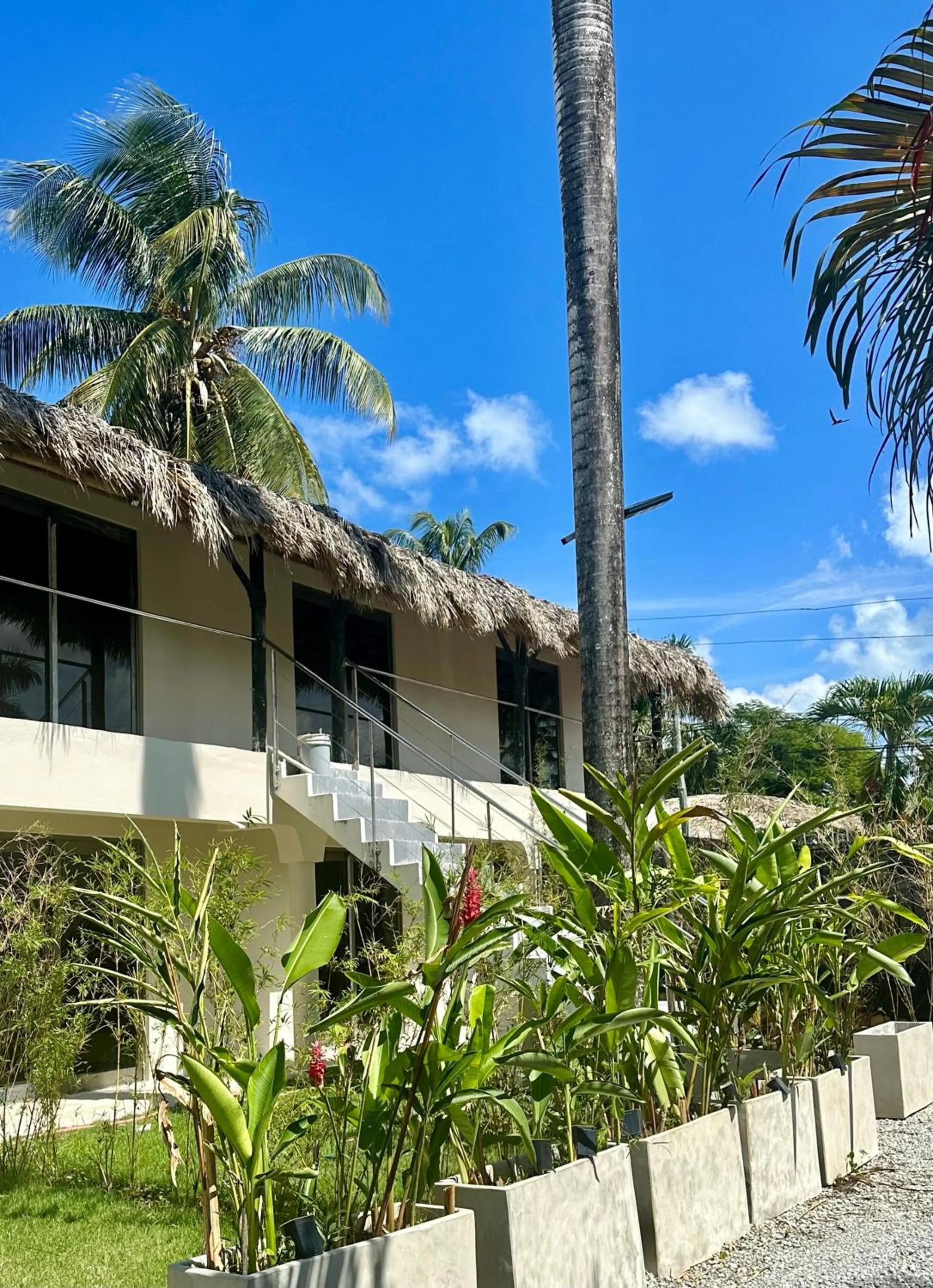 Property building in El Rincon de Abi