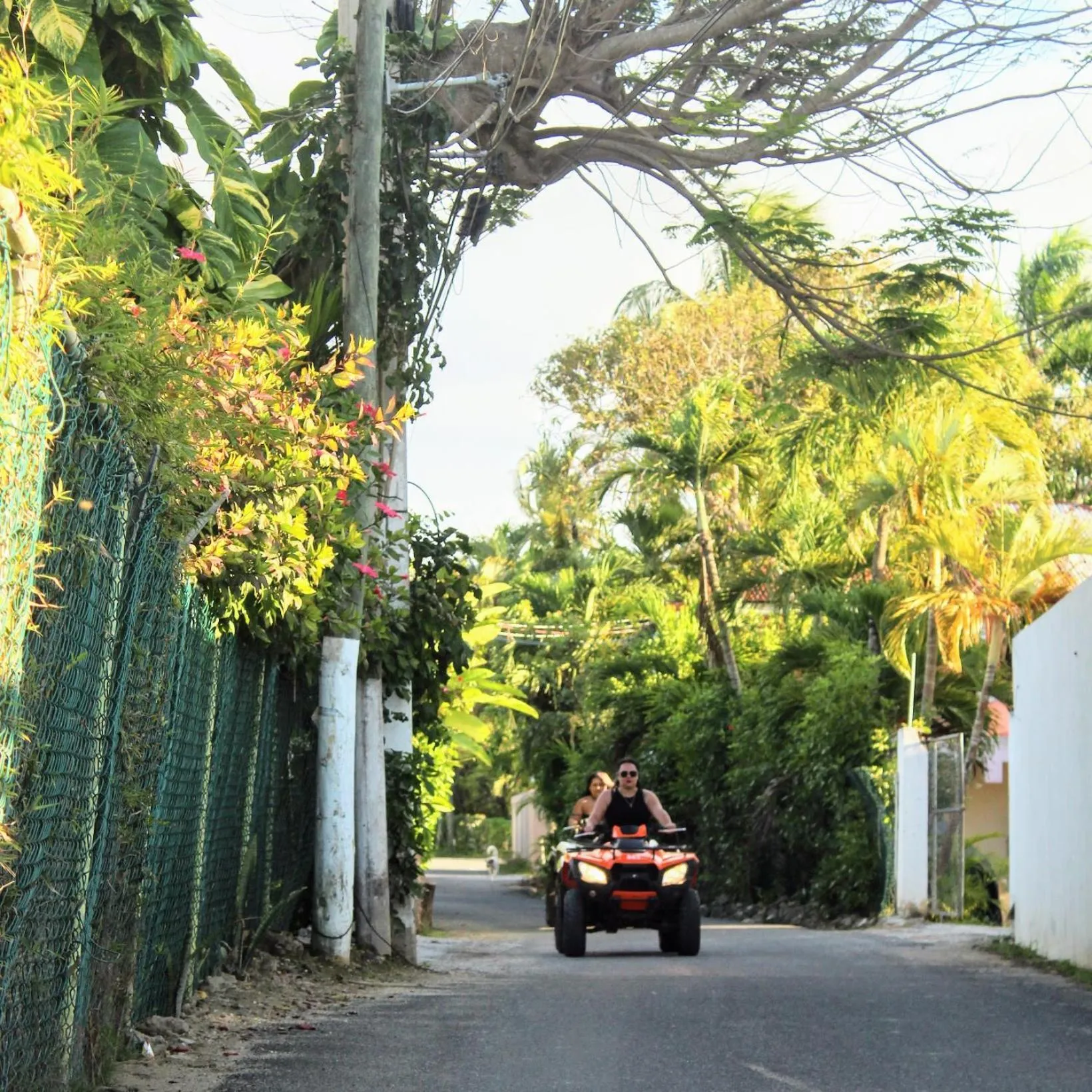 Neighbourhood in El Rincon de Abi