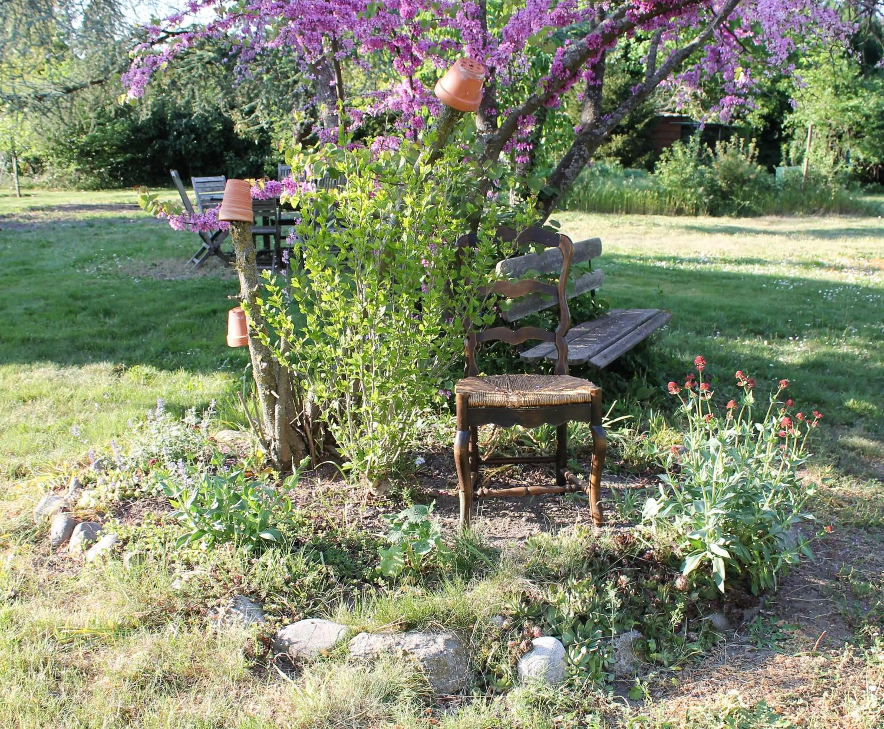 Garden in Aux Berges de la Thur