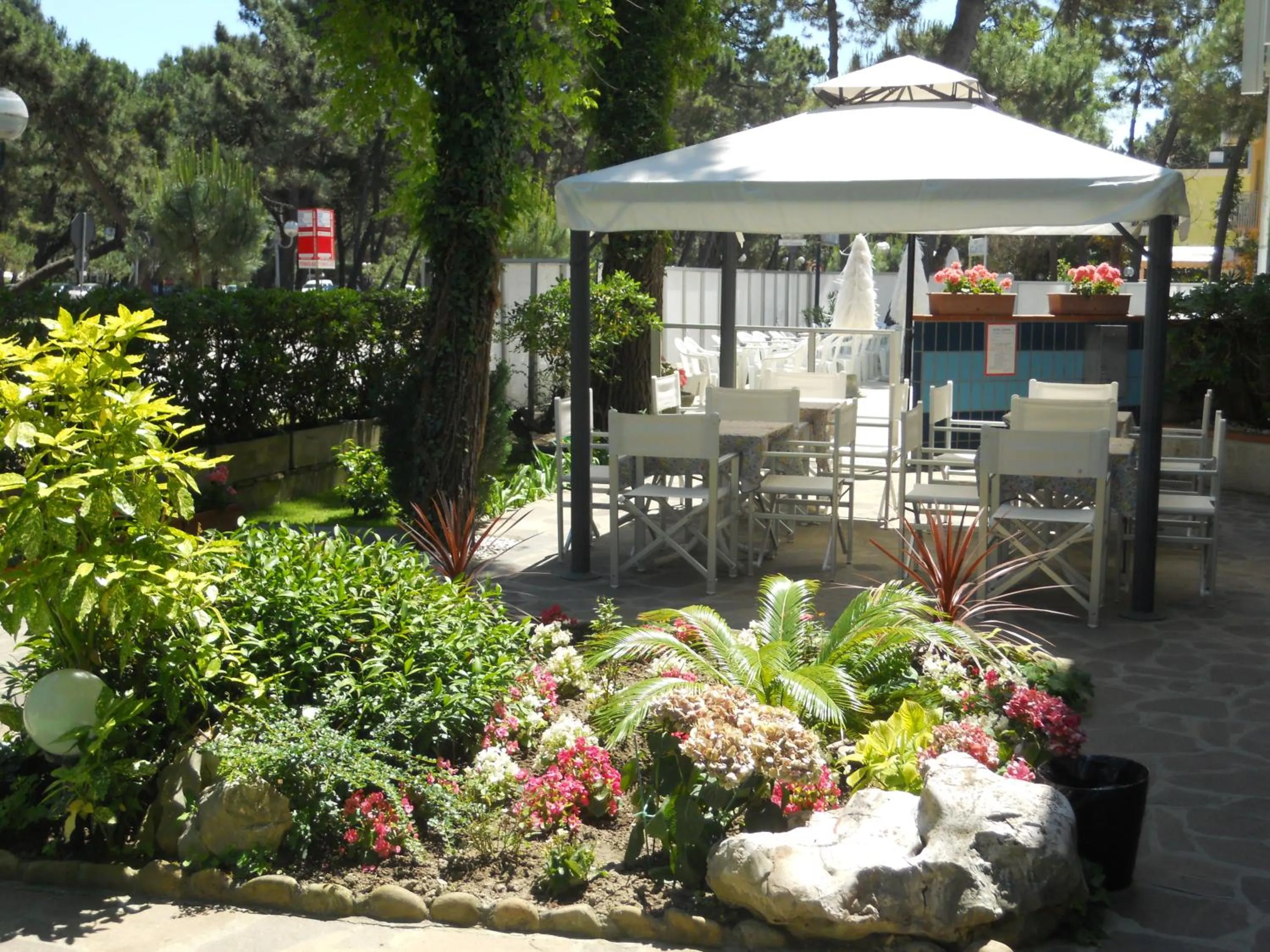 Garden in Hotel Sahara
