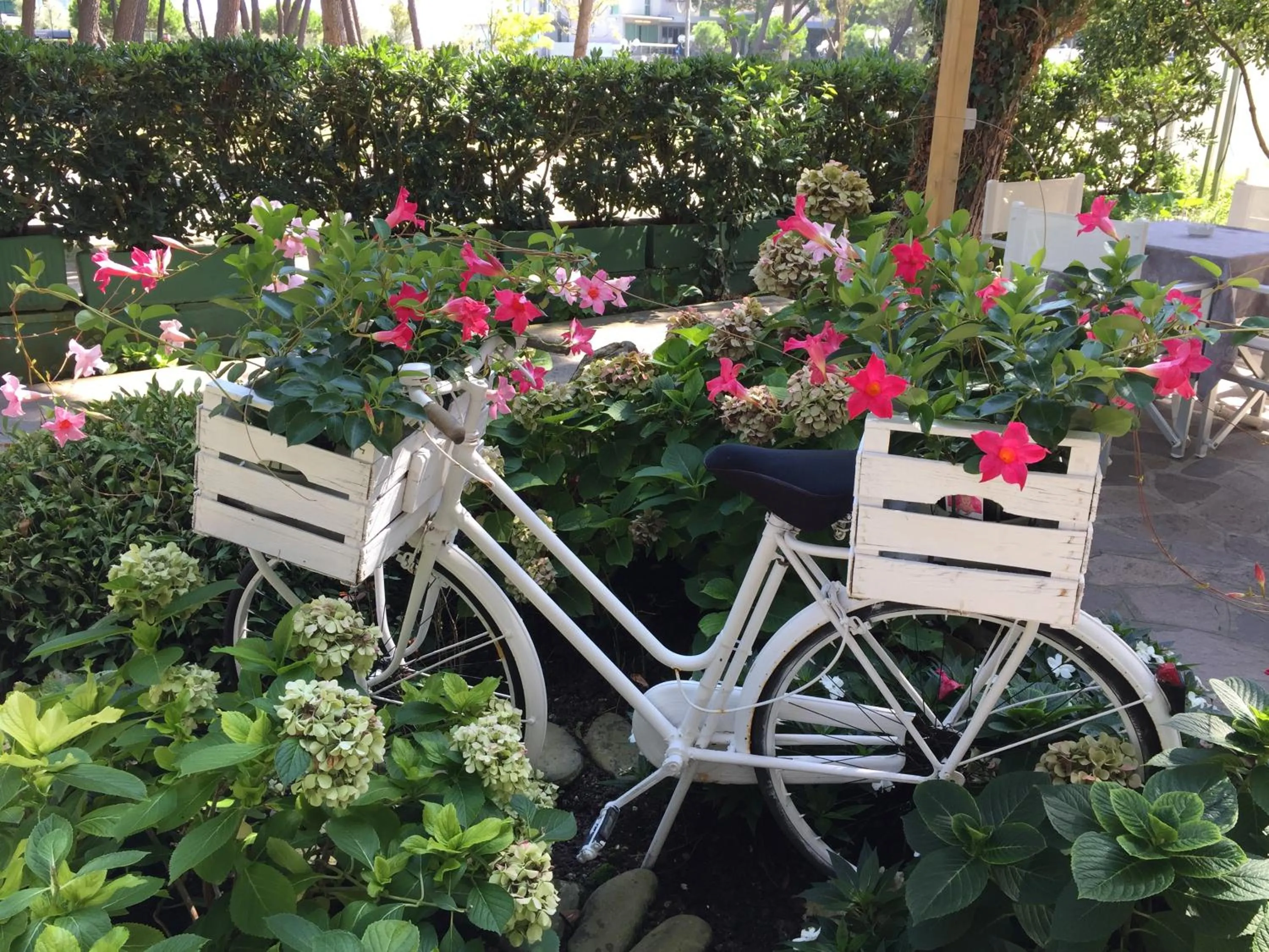 Decorative detail in Hotel Sahara