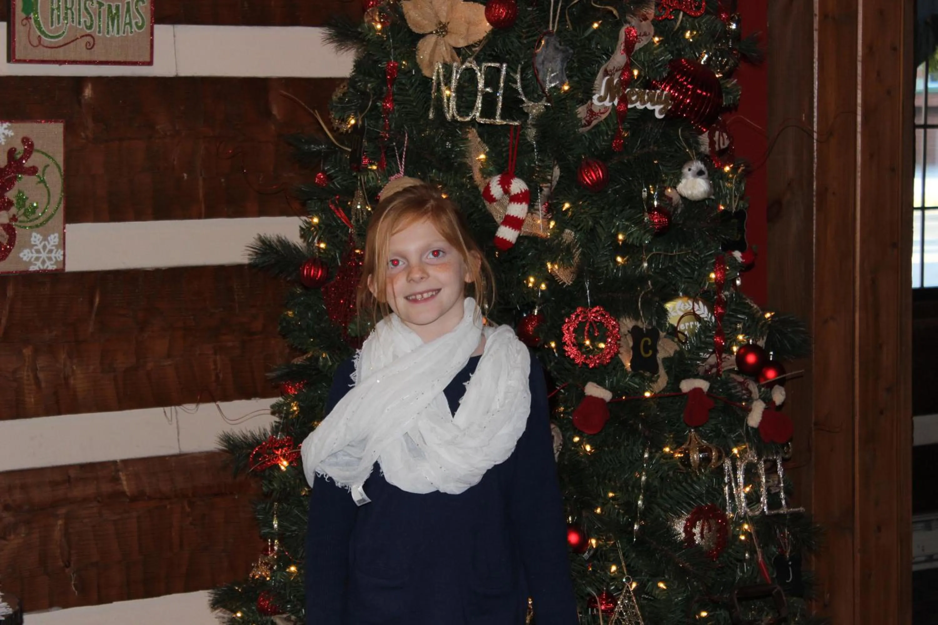 Decorative detail in Great Smokies Inn - Cherokee