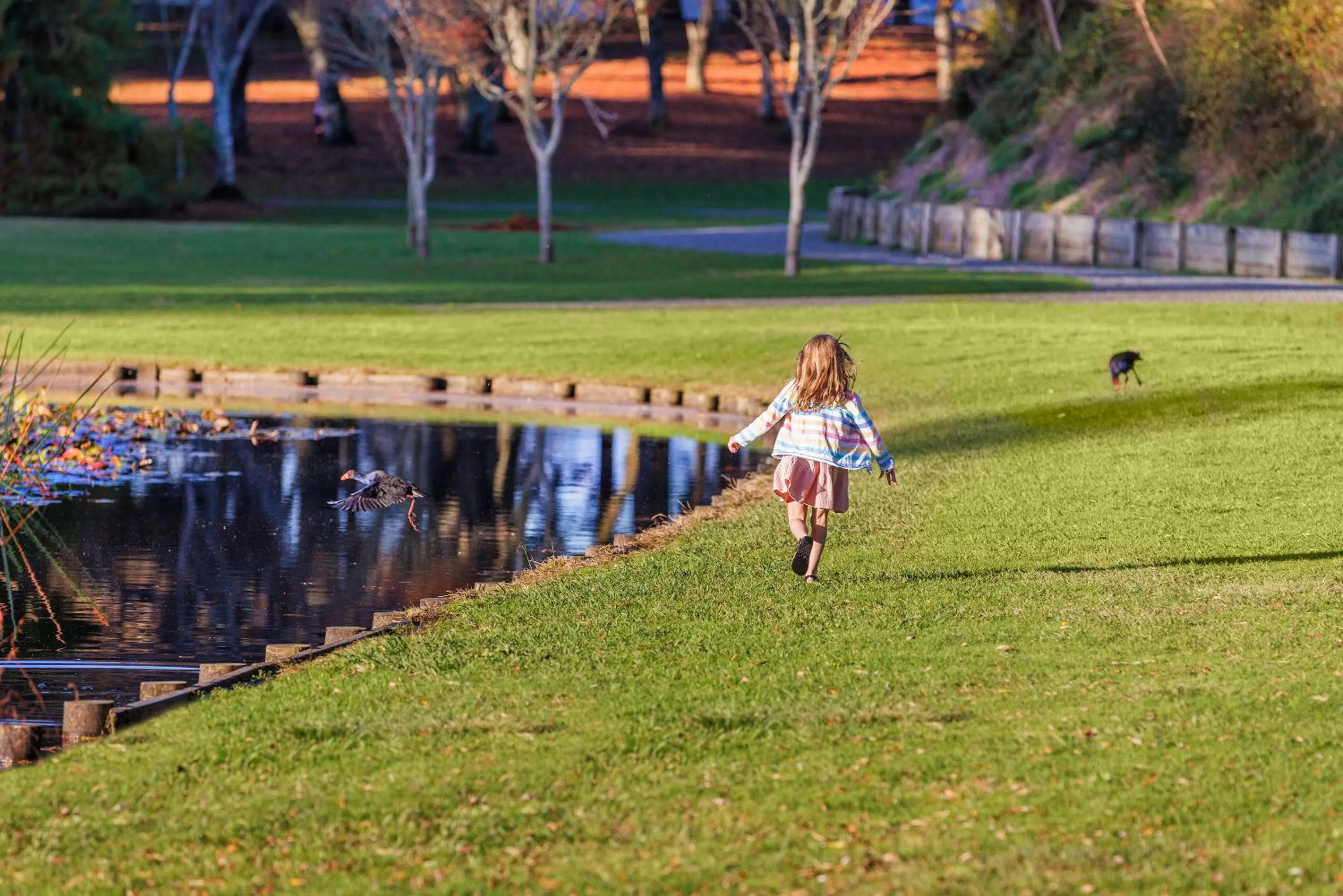 Garden view in Hidden Lake Hotel & Apartments