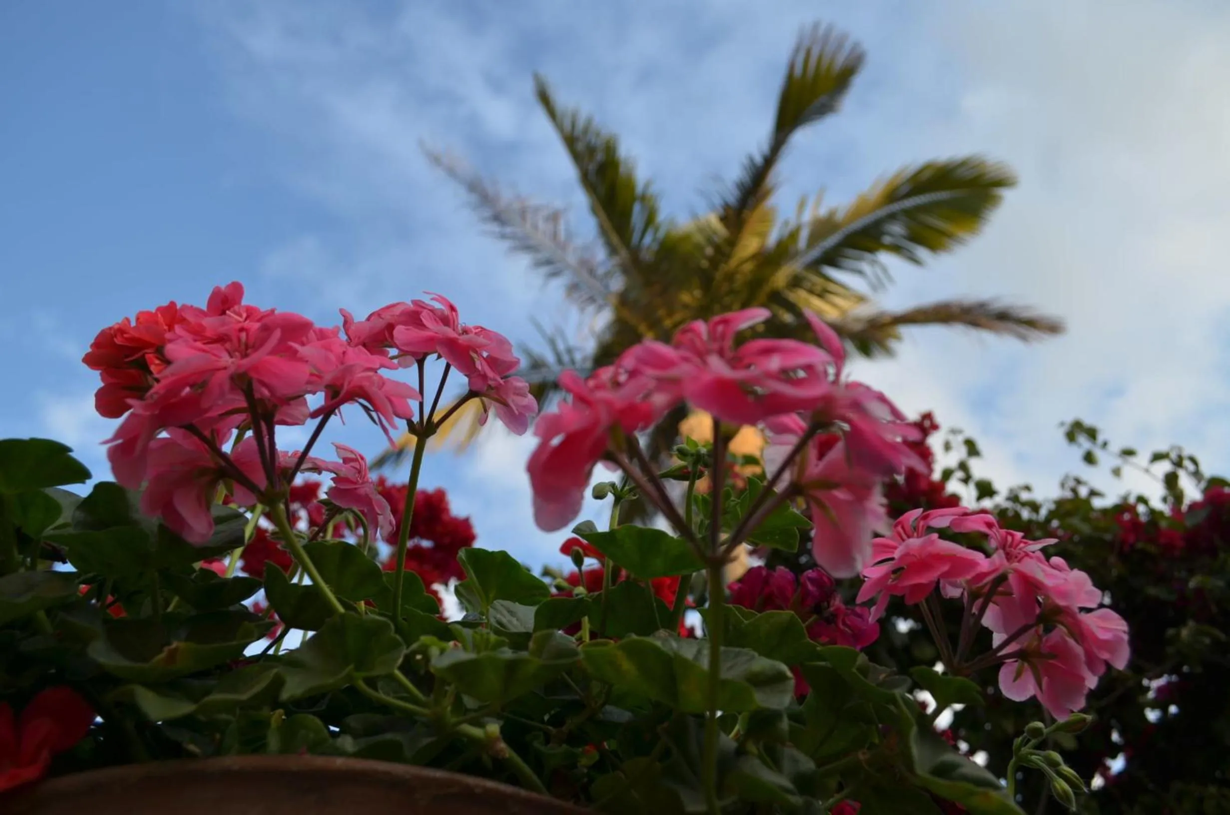 View (from property/room) in Dai Nonni Hotel