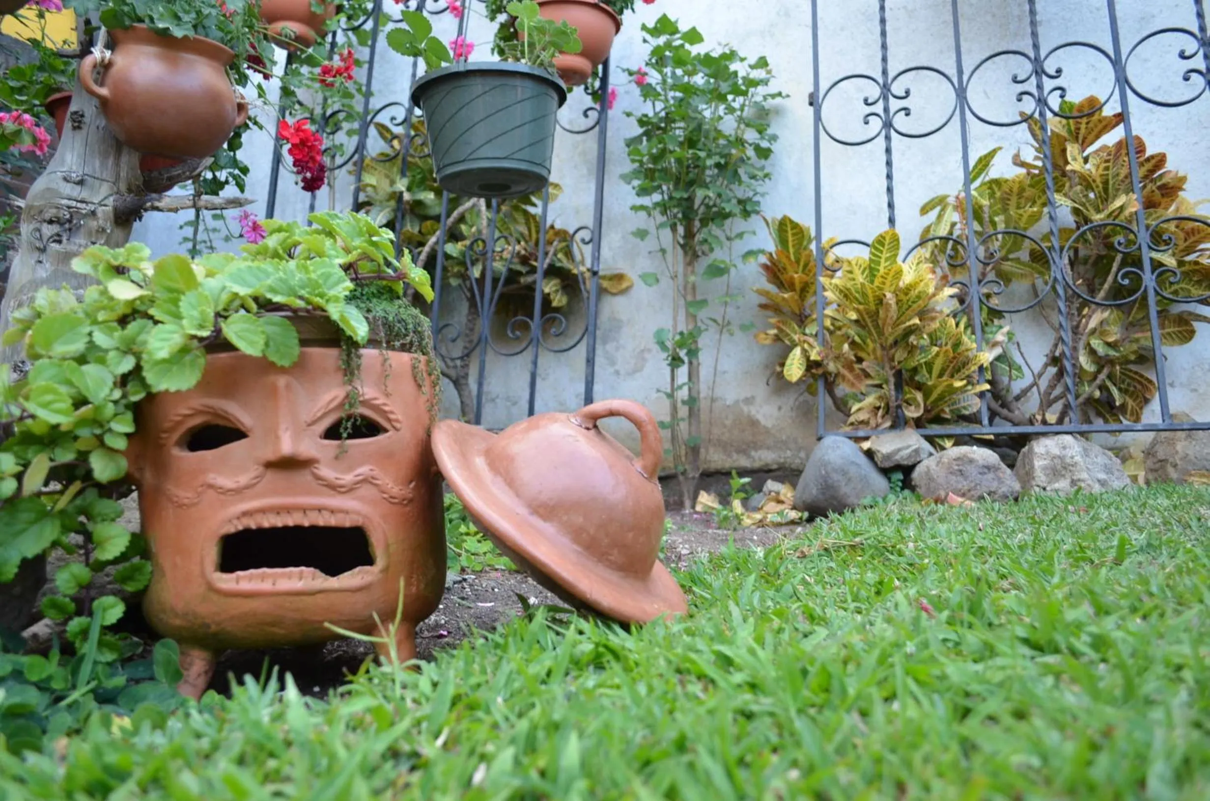Garden in Dai Nonni Hotel