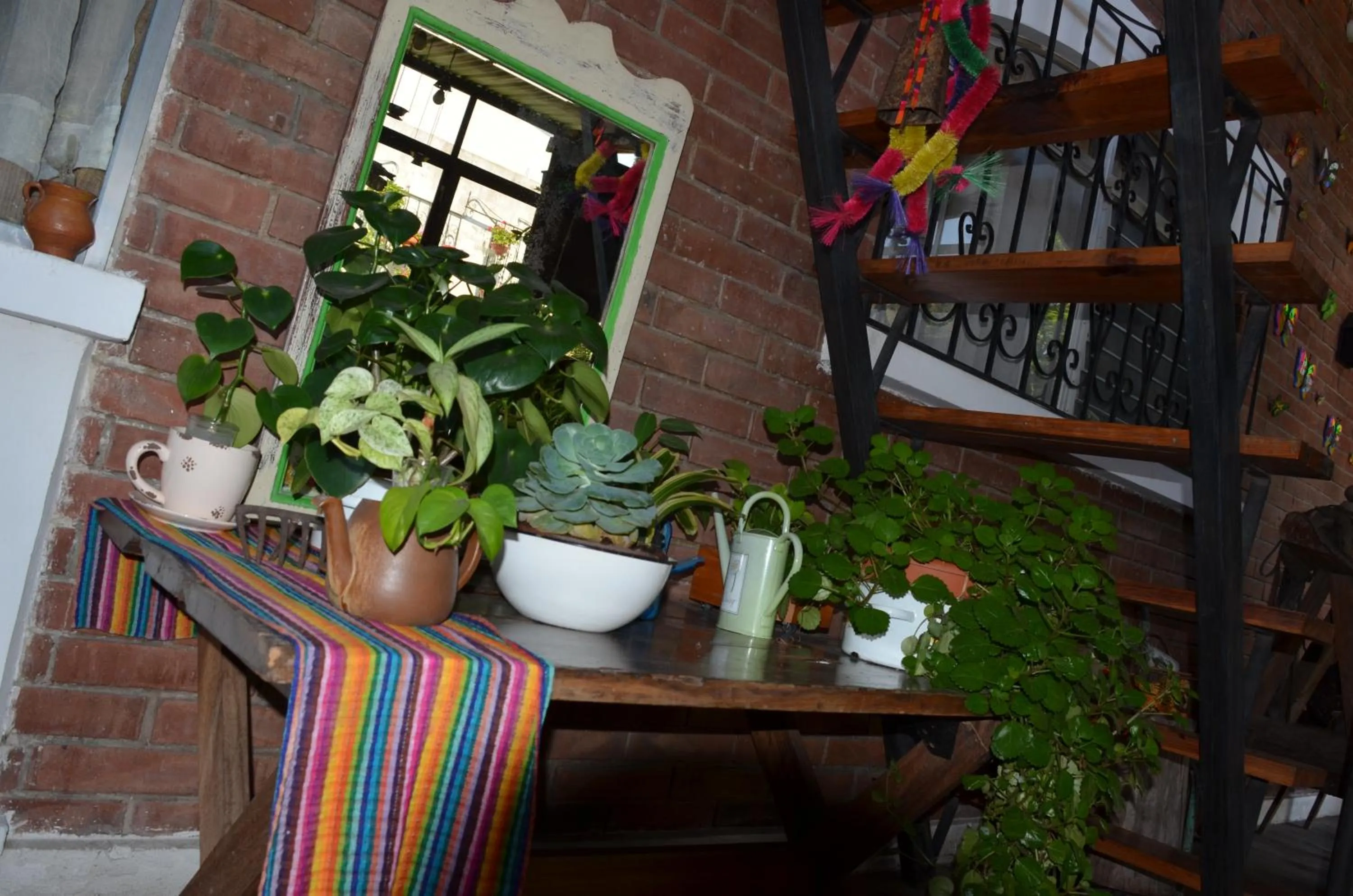 Patio in Dai Nonni Hotel