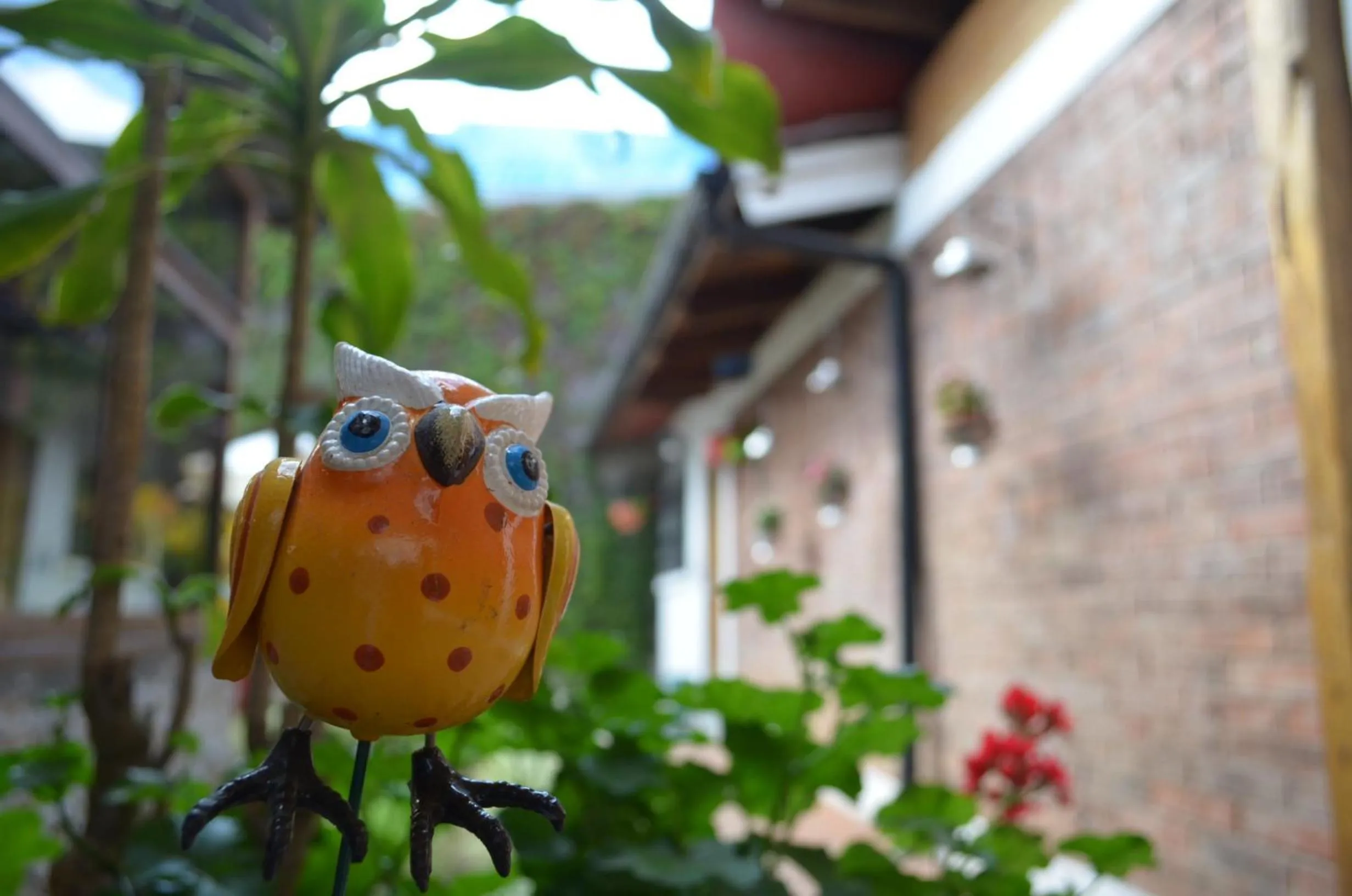 Garden in Dai Nonni Hotel