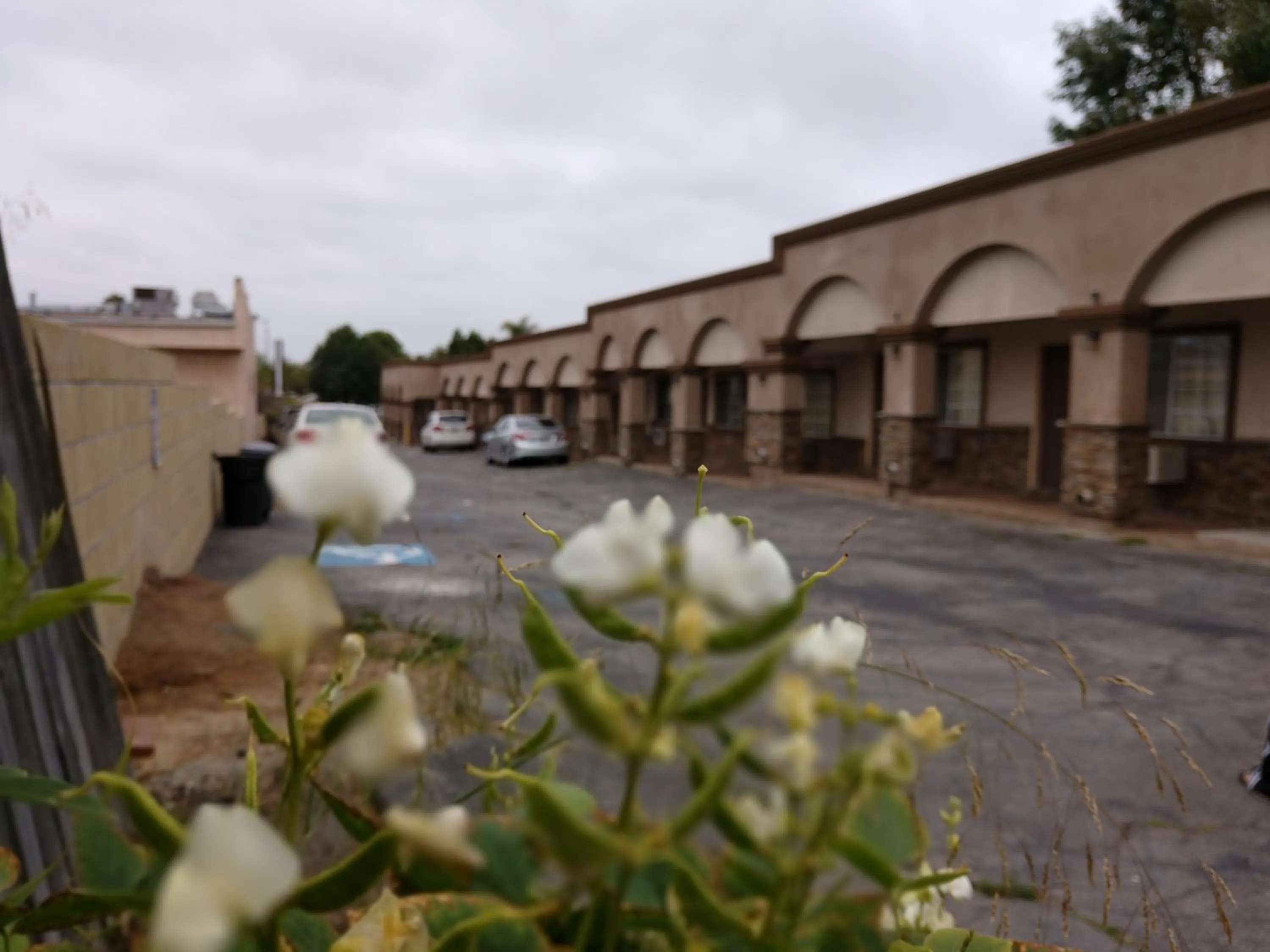 Property building in Bartlett Motel