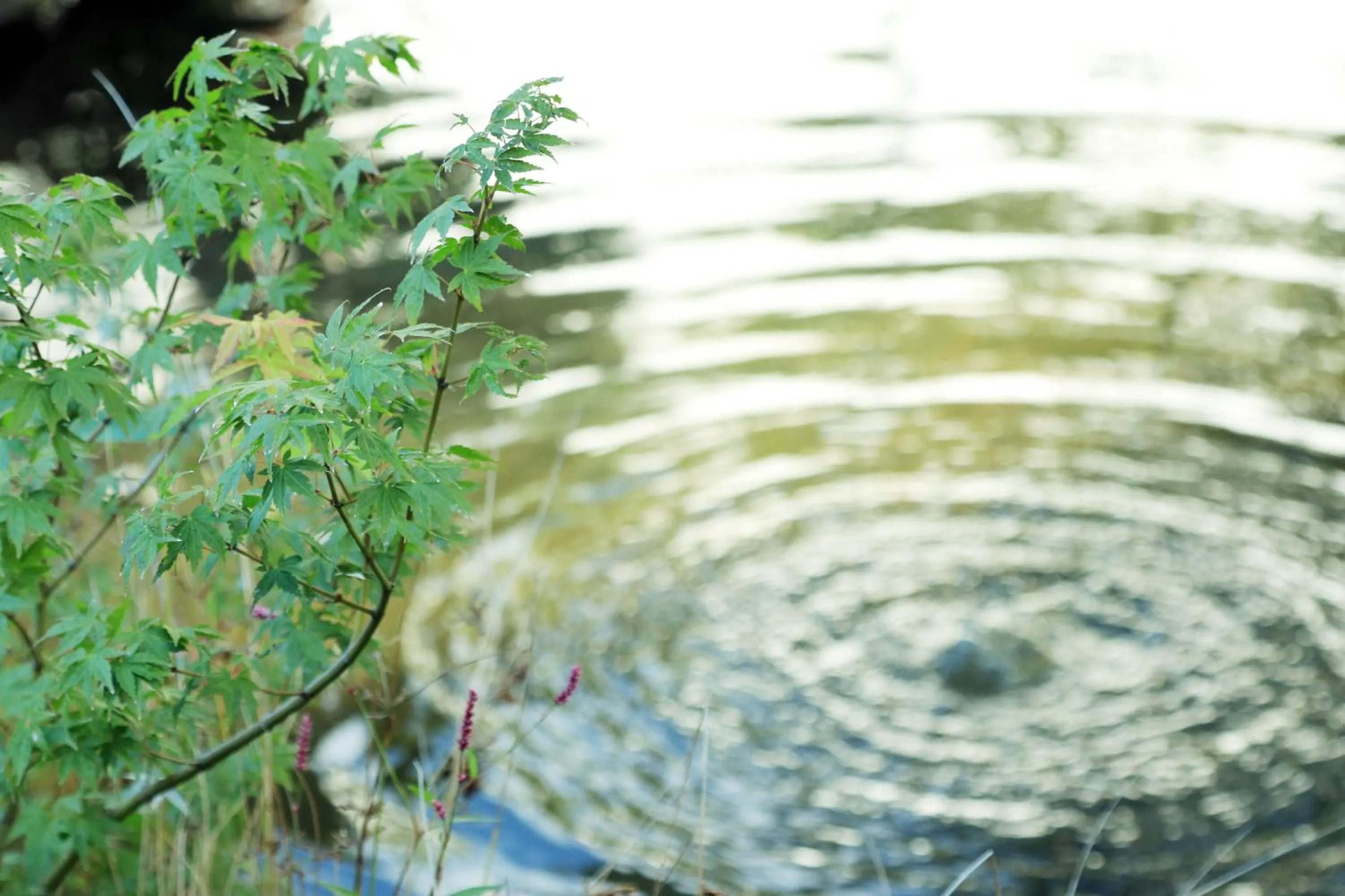 Natural landscape in Yanagiya